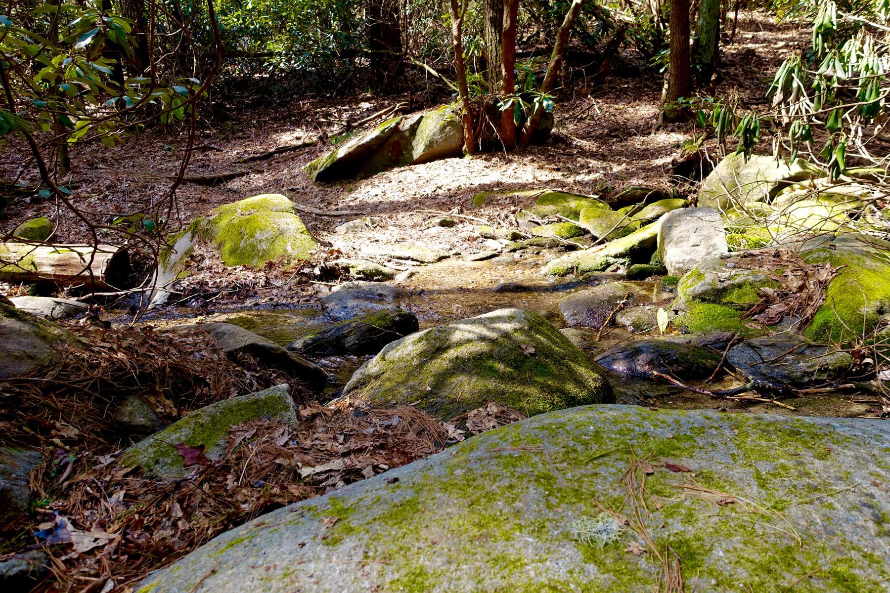 A peaceful stream flows over moss-covered rocks in a wooded area, surrounded by trees and fallen leaves. Sunlight filters through the foliage, highlighting the vibrant greens and earthy tones of the landscape. Windy Gap Trail mountain bike trail.