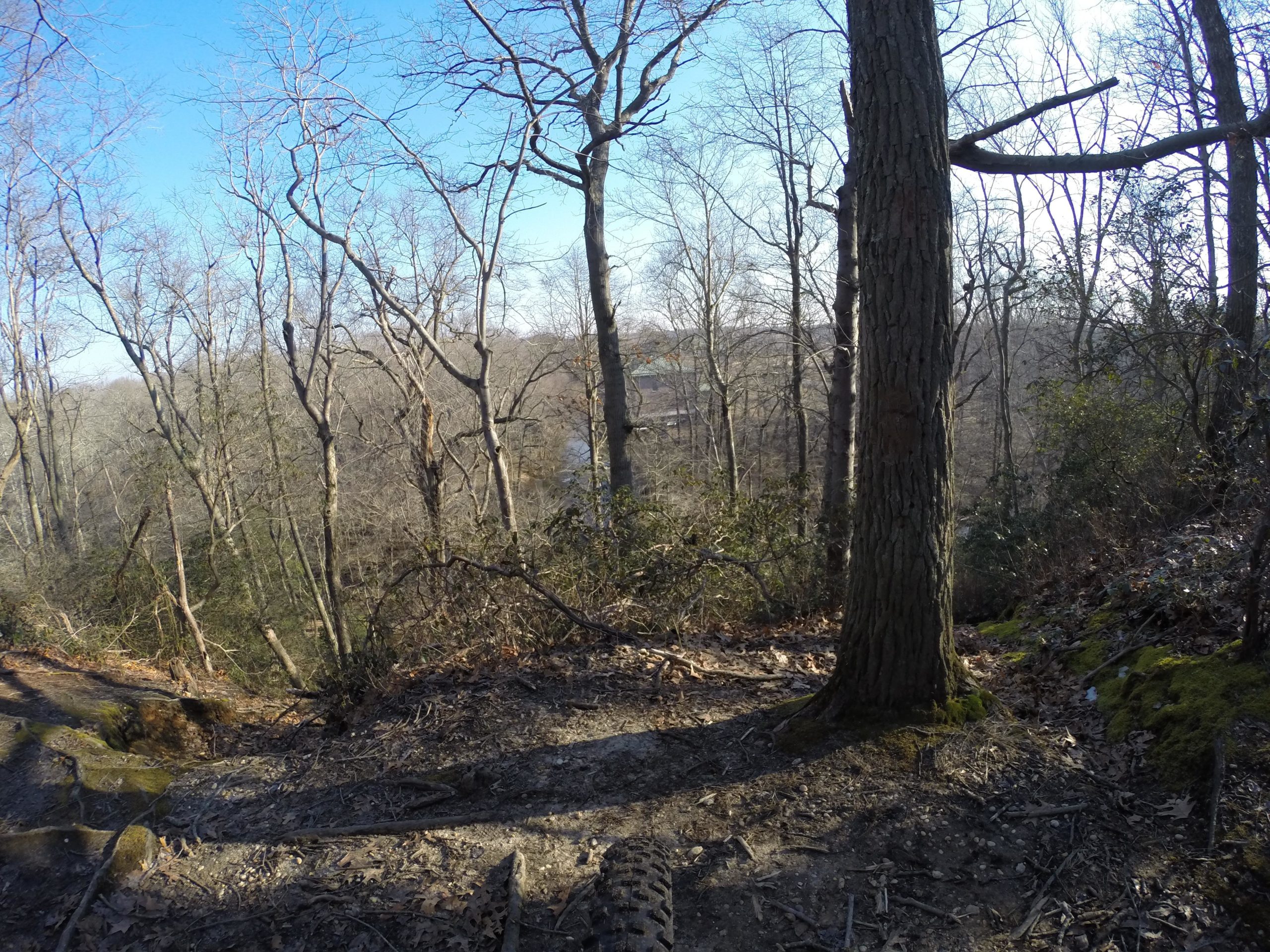A scenic view of a wooded area with bare trees and a clear blue sky. The foreground shows a path leading into the forest, with a large tree on the right and leaf-covered ground. In the background, a glimpse of the landscape reveals a body of water partially visible among the trees. Allaire State Park mountain bike trail.
