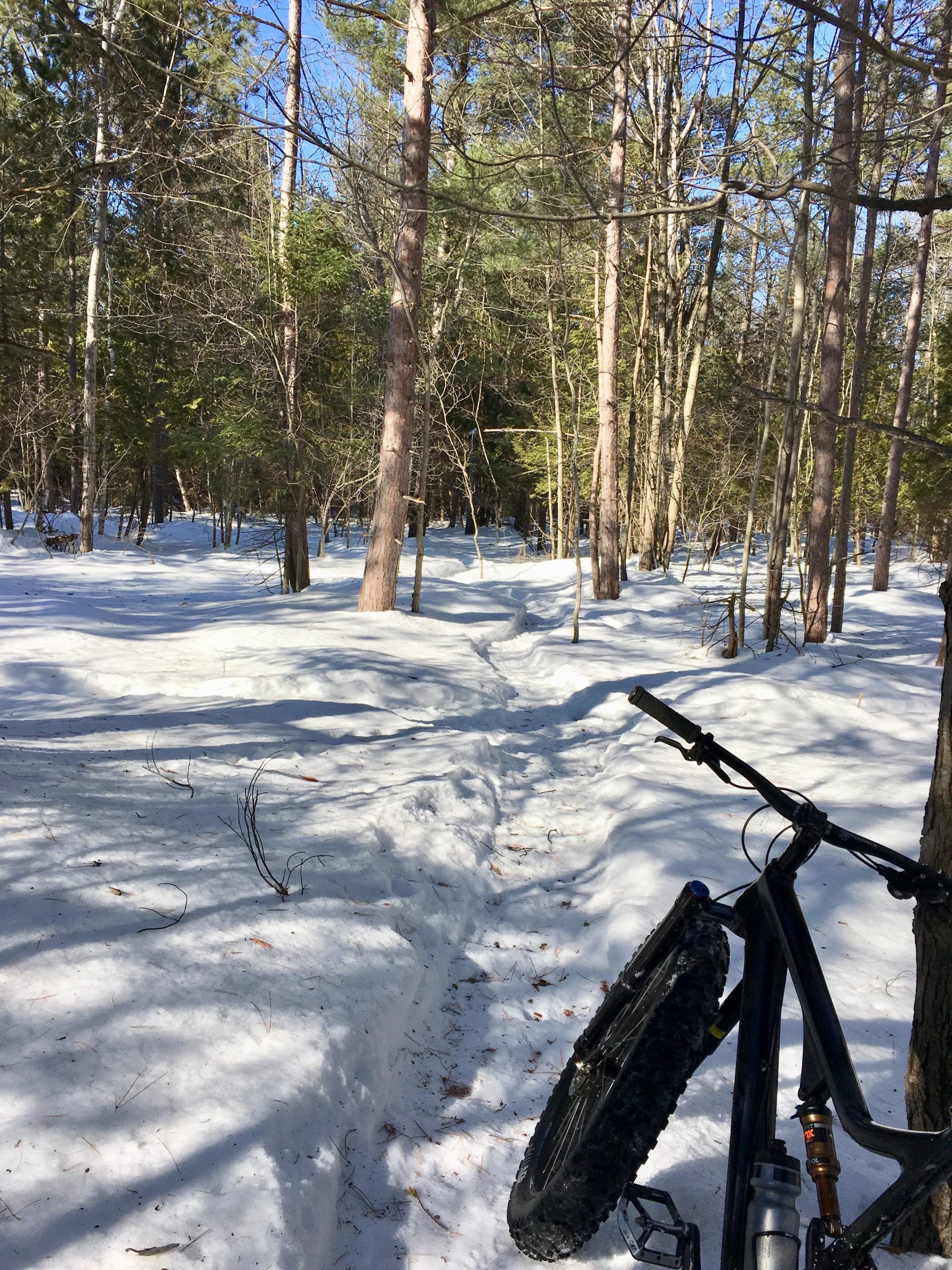 A snowy forest trail with patches of sunlight filtering through tall trees. A black bike with thick tires leans against a tree on the right, while a narrow path winds through the deep snow ahead. Stony Swamp Conservation Area Trails mountain bike trail.