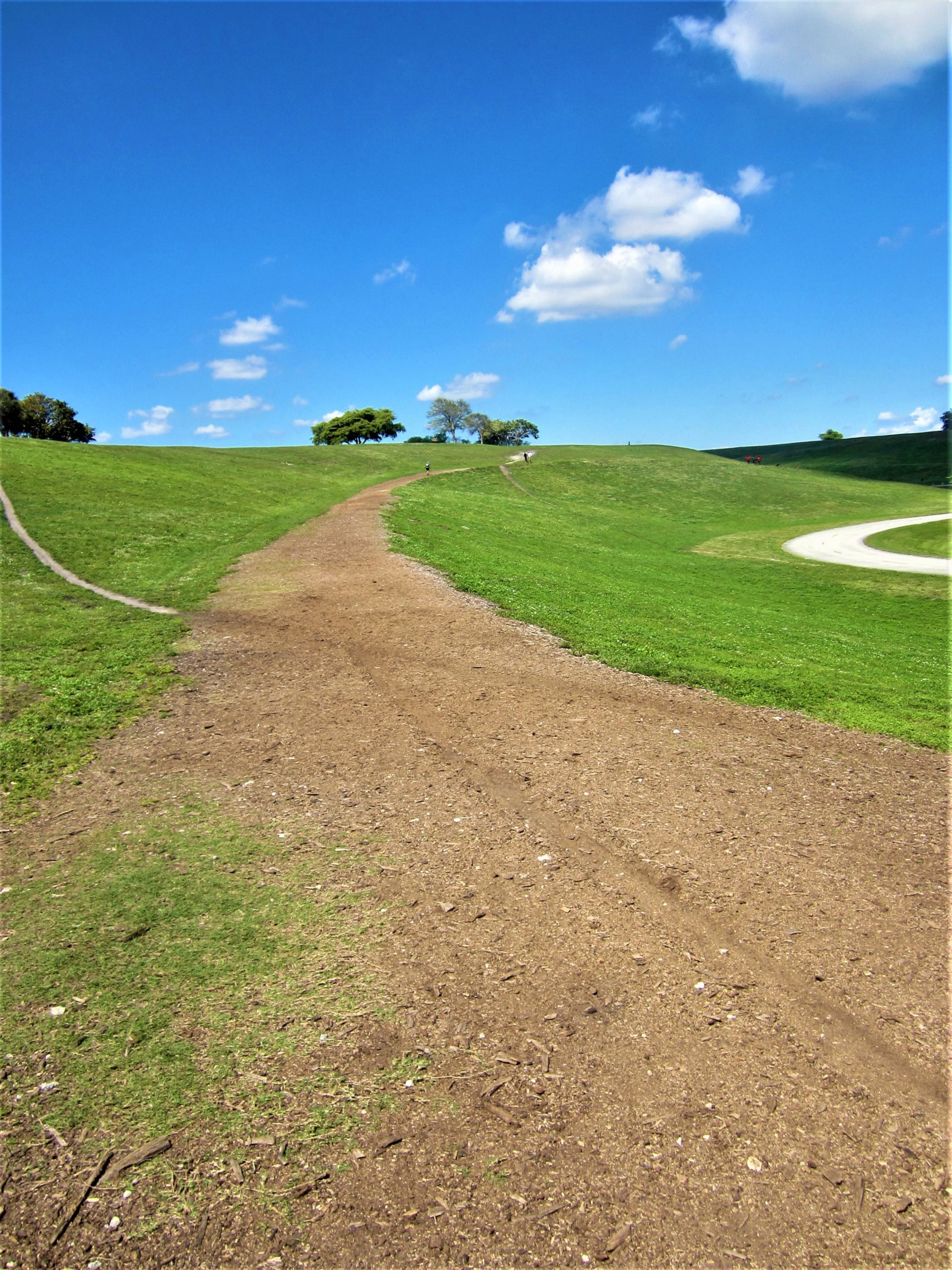 A winding dirt path through a lush green field, under a bright blue sky with fluffy white clouds. The path leads toward gently rolling hills, with a few trees visible in the distance. Vista View Park mountain bike trail.
