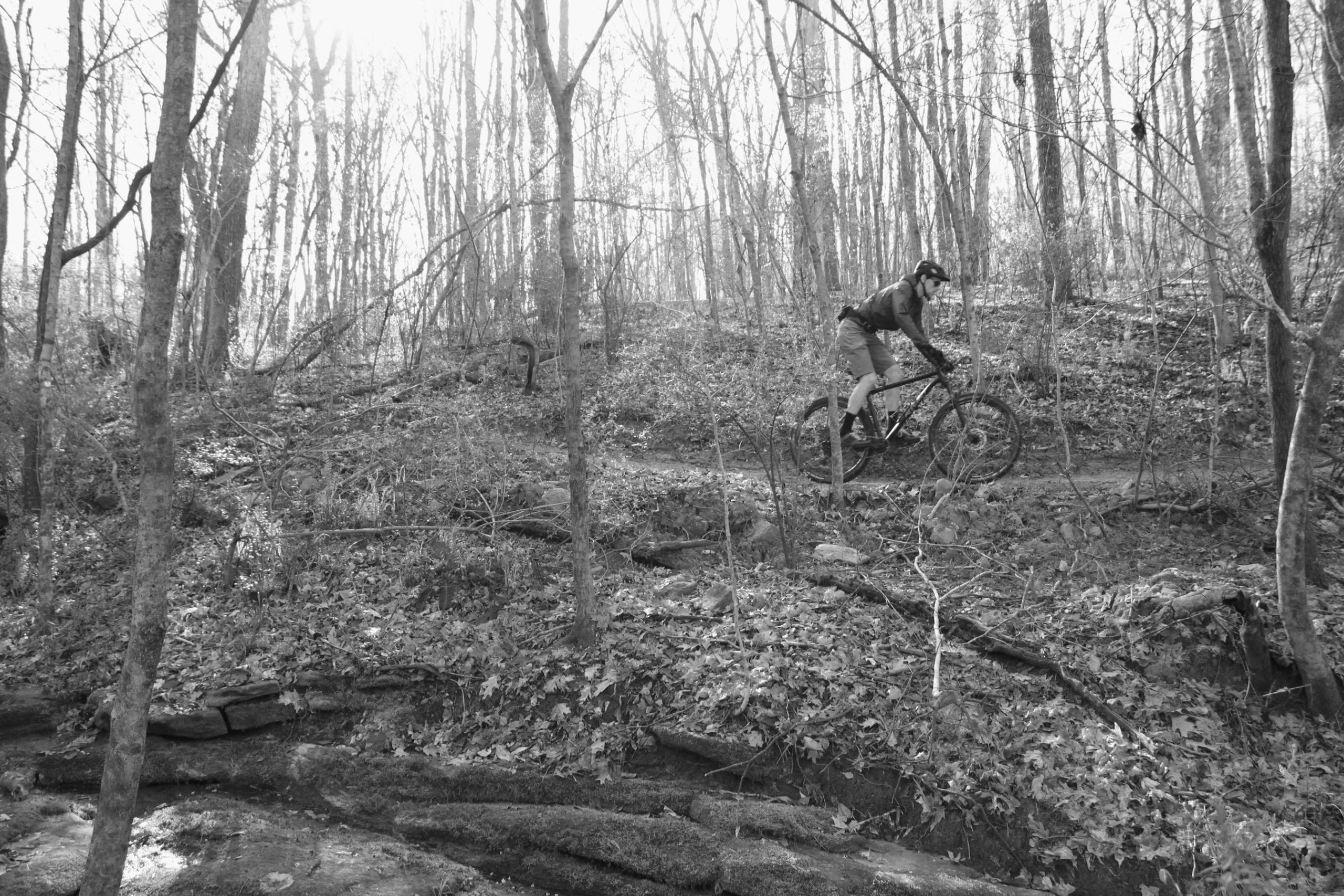 A mountain biker navigates a rugged trail in a forest during the daytime. The image is in black and white, illustrating the trees, fallen leaves, and rocky terrain surrounding the cyclist. Sunlight filters through the branches, creating a serene yet adventurous atmosphere. Southside Park mountain bike trail.