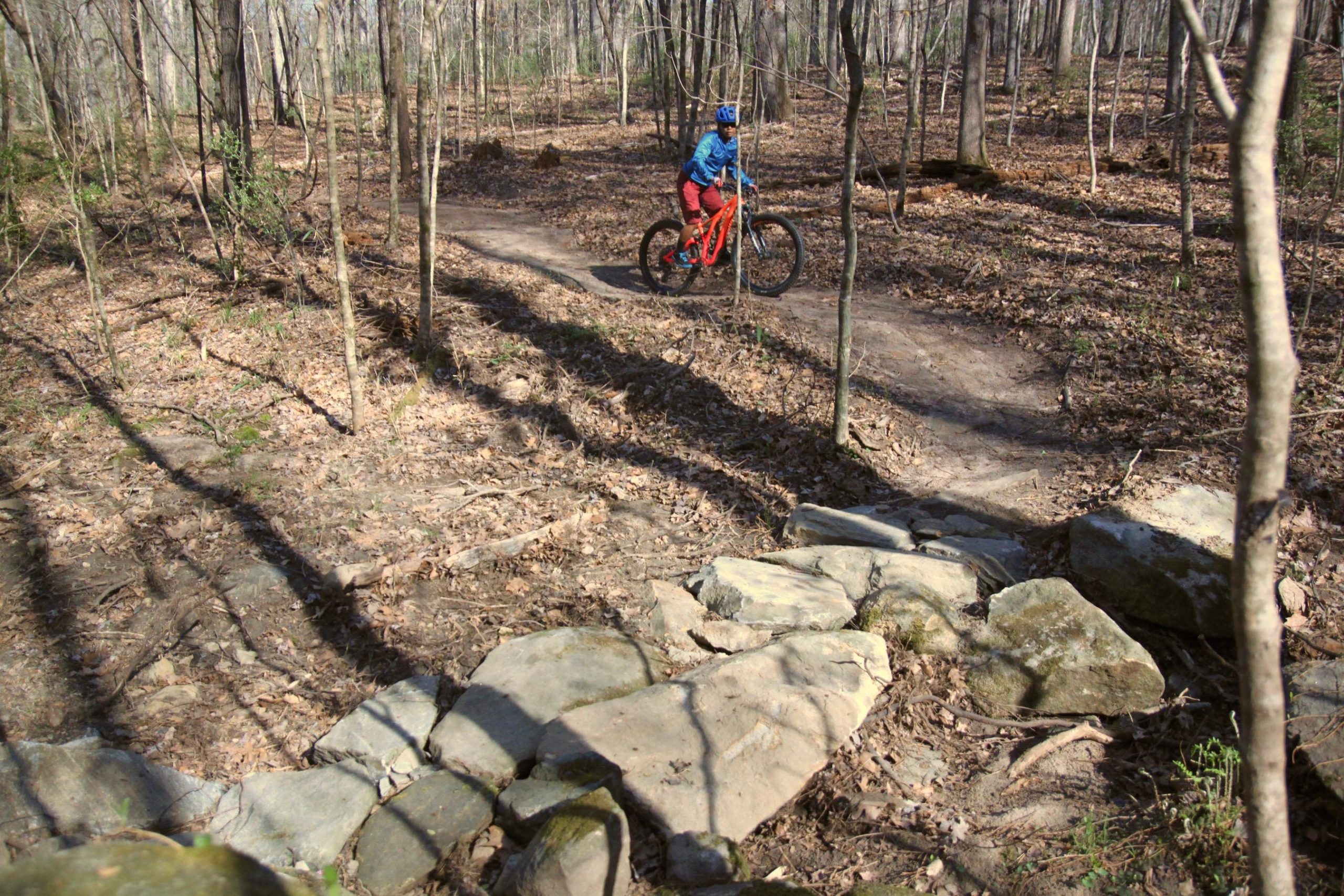A cyclist riding a red mountain bike on a dirt trail in a forested area during early spring, surrounded by bare trees and fallen leaves. Rocks are visible on the trail ahead. Southside Park mountain bike trail.