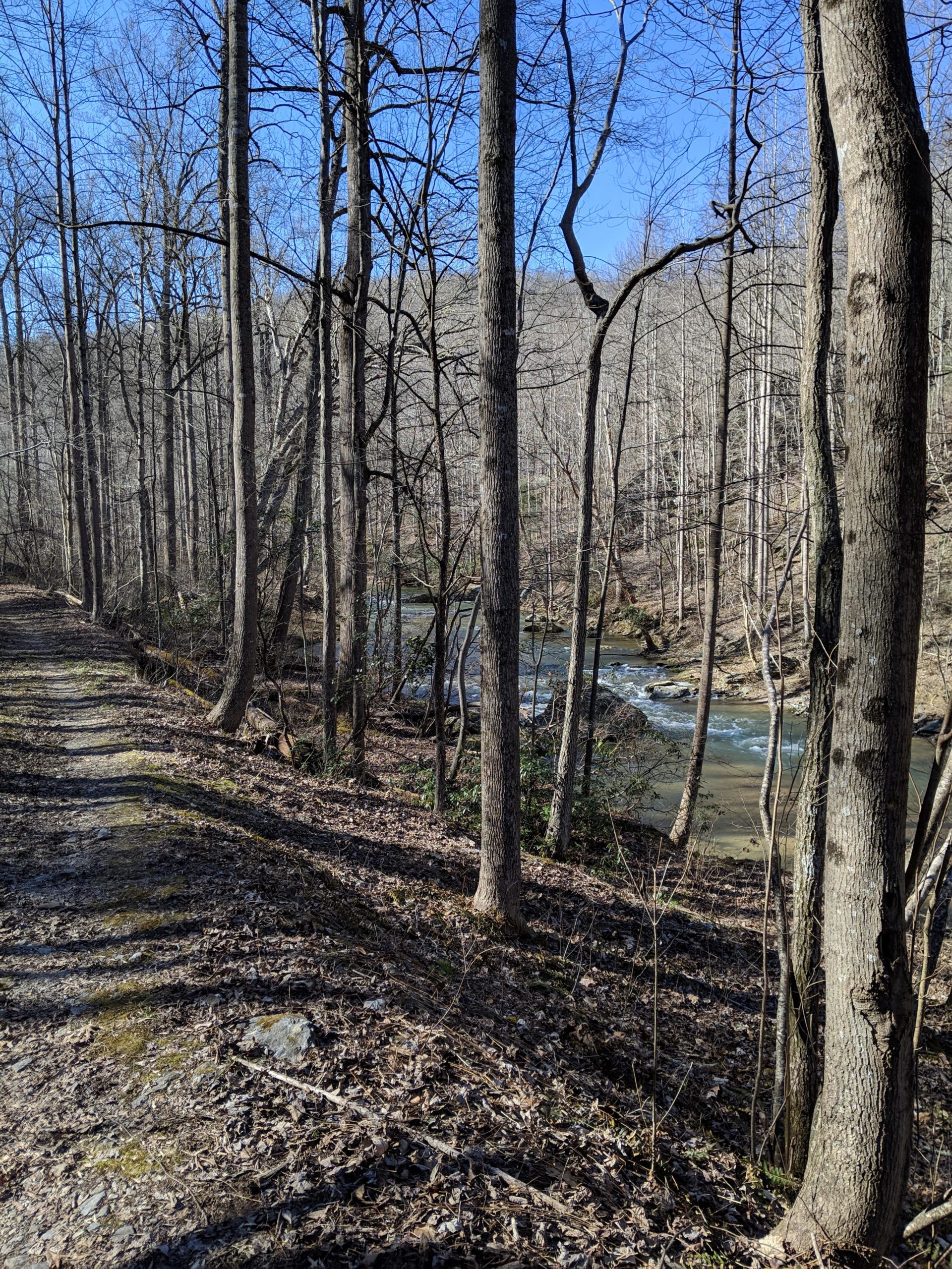 A serene wooded landscape during early spring, featuring a dirt path lined with leafless trees and scattered leaves. In the background, a gently flowing river can be seen, surrounded by rocks and greenery, under a clear blue sky. Gunpowder to Hemlock mountain bike trail.