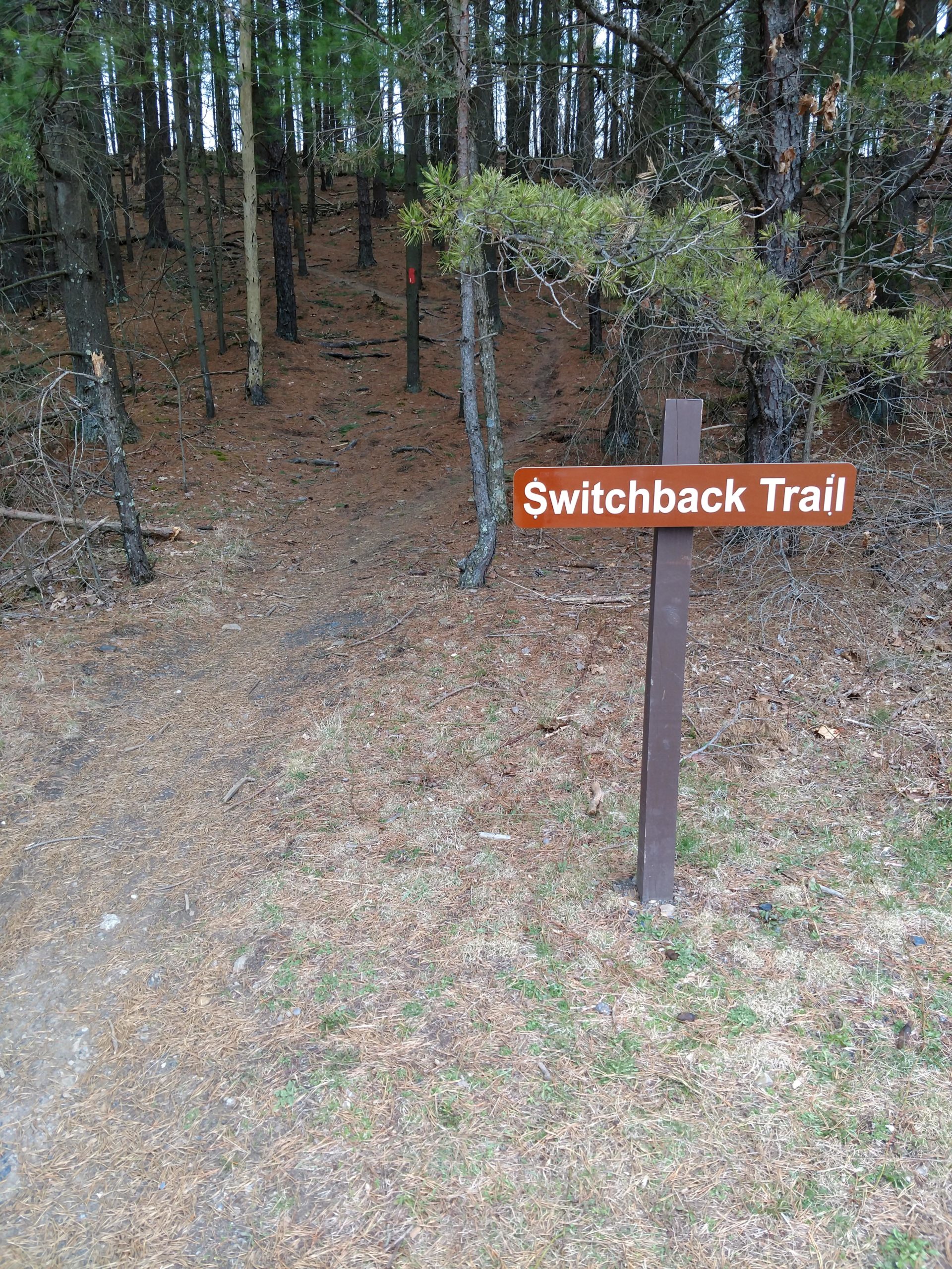 A brown trail sign labeled "Switchback Trail" standing at the edge of a wooded area, with a dirt path leading into the forest. Tall trees surround the area, and the ground is covered with pine needles and patches of grass. Bavington mountain bike trail.