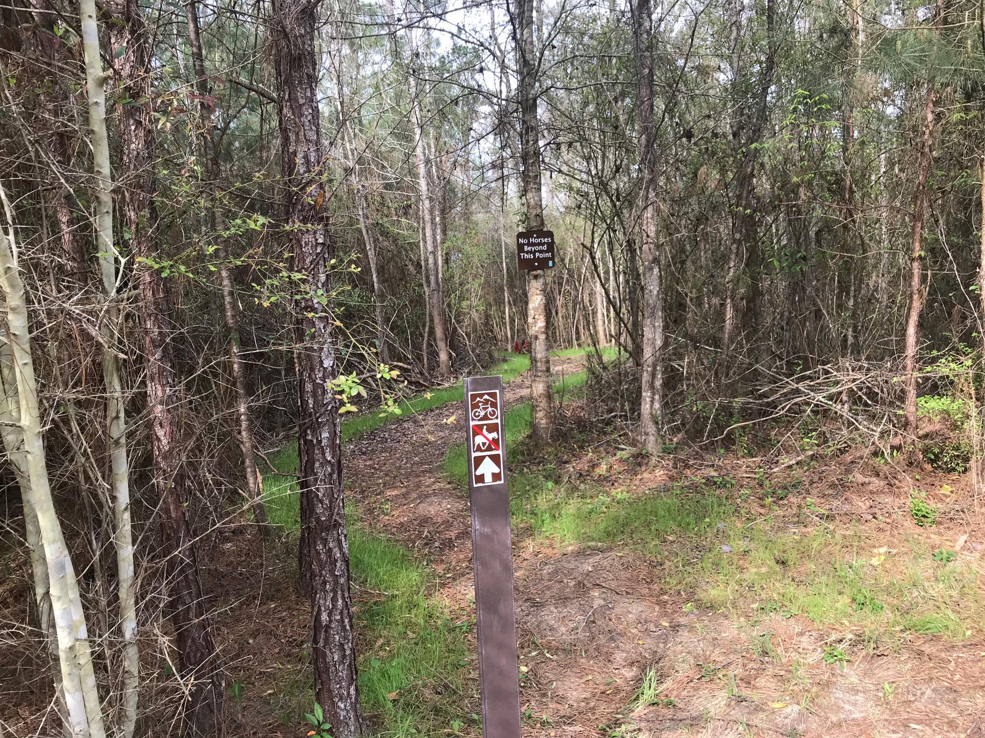A dirt path winding through a forested area, marked by a sign indicating bike access and a prohibition on horseback riding. The environment features tall trees and patches of green grass, with additional signs visible in the background. Bogue Chitto State Park mountain bike trail.