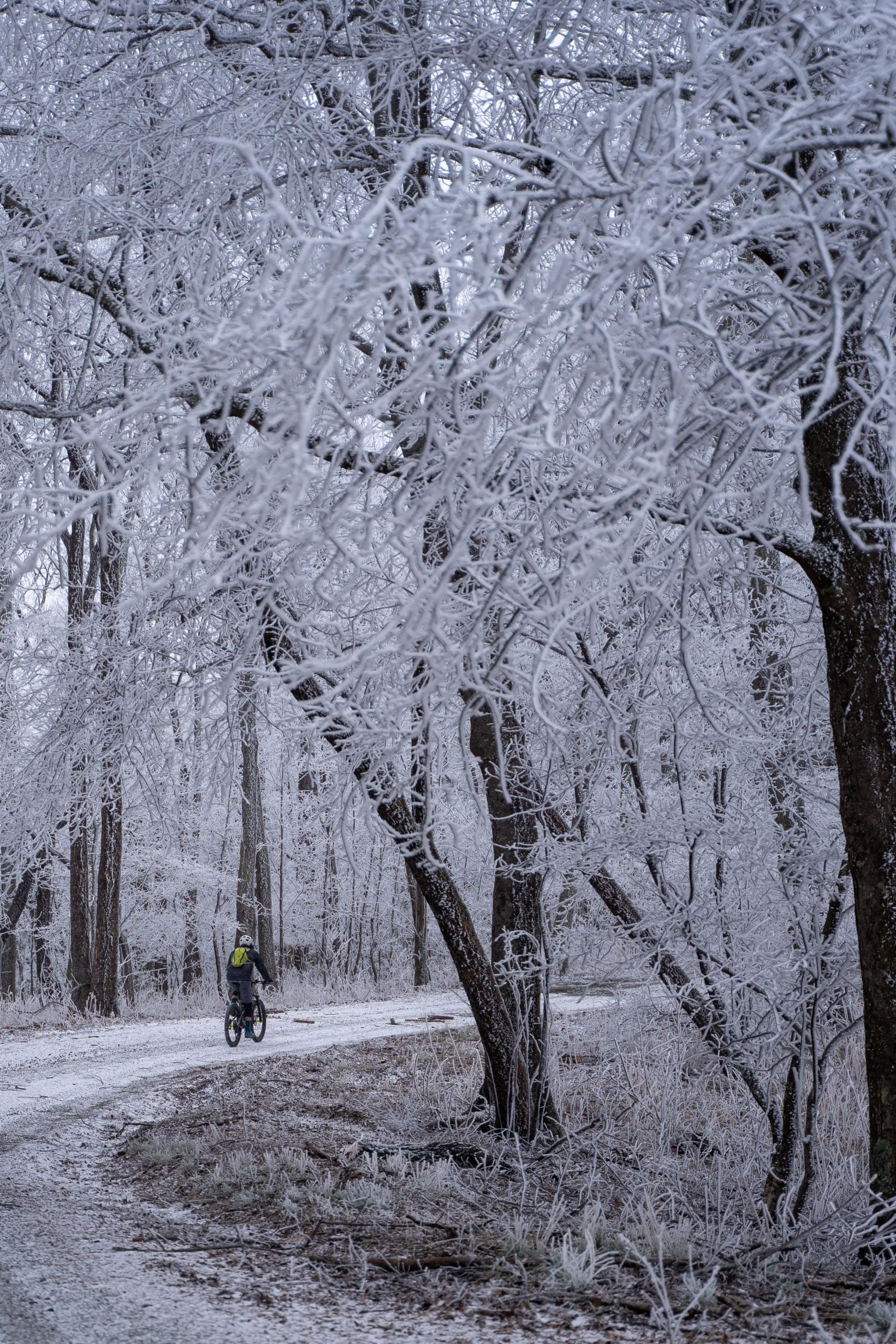 A cyclist riding a mountain bike along a snow-covered path surrounded by frost-covered trees in a winter landscape. The scene features a tranquil atmosphere with a monochromatic color palette of whites and grays. Windy Gap Trail mountain bike trail.