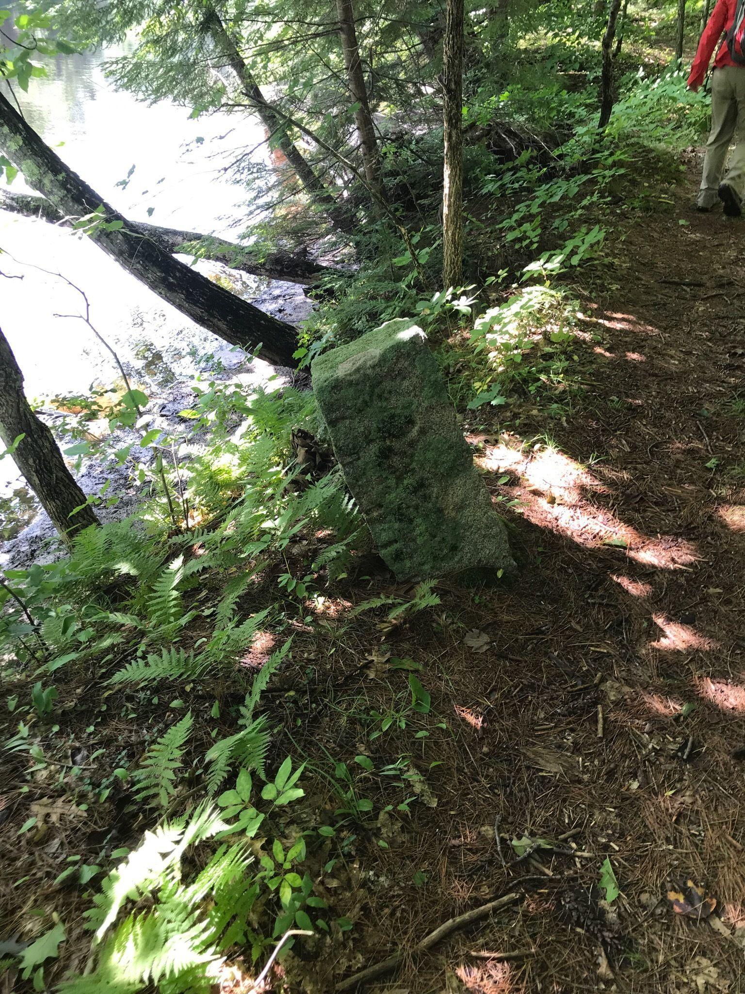 A granite rock standing on a forest path near a serene lake, surrounded by lush greenery and ferns. Sunlight filters through the trees, casting dappled shadows on the ground. A person walks along the trail in the background. Salmon Falls Trail mountain bike trail.