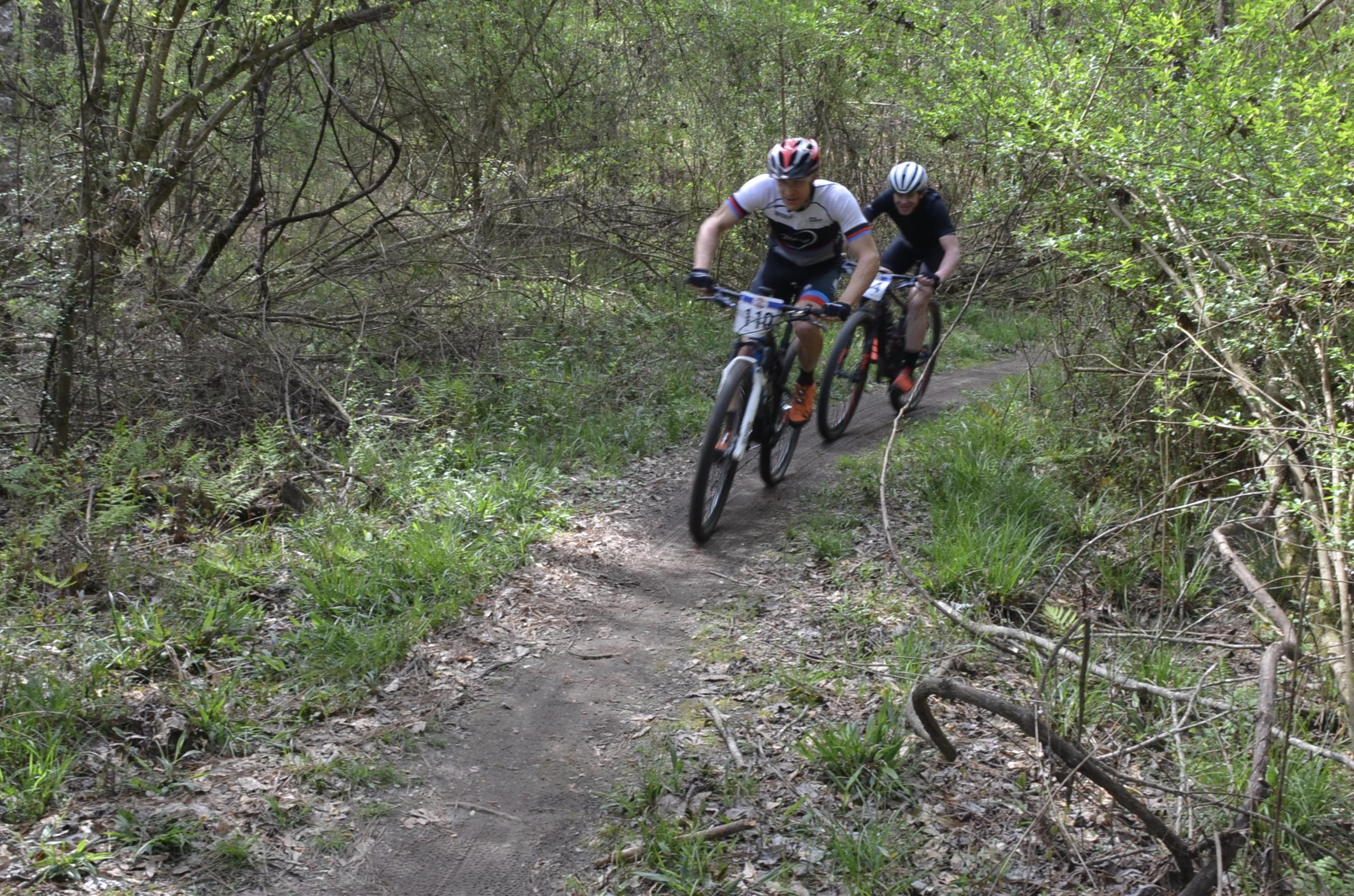 Two mountain bikers navigate a dirt trail in a forested area, surrounded by greenery and sparse underbrush. The cyclists wear helmets and sports attire, focused on their ride as they speed along the winding path. Mt. Zion Bike Trails mountain bike trail.