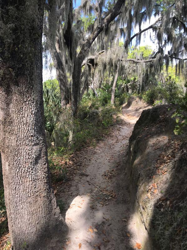 A sandy trail winding through a wooded area, bordered by tall trees draped with Spanish moss. Sunlight filters through the canopy, illuminating patches of greenery and fallen leaves along the path. Loyce E. Harpe Park mountain bike trail.