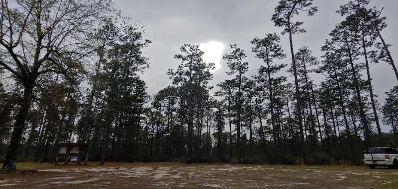 A rural landscape featuring tall pine trees under an overcast sky. A patch of light appears in the clouds, illuminating the area. In the foreground, there's an open space with an unpaved ground and a parked white vehicle, while a wooden structure is visible to the left. Bethel Bike Trails mountain bike trail.