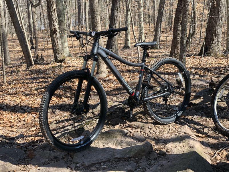 A black mountain bike is parked on a rocky surface in a wooded area, surrounded by trees and fallen leaves. The scene is set in early spring, with bare branches and dappled sunlight filtering through the trees. Farris Park mountain bike trail.
