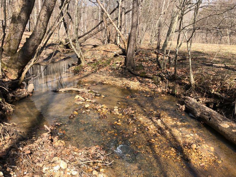 A serene, wooded area featuring a small stream flowing through it. The water is clear, revealing stones and pebbles at the bottom. Surrounding the stream are bare trees and fallen branches, with scattered leaves on the ground. Sunlight filters through the trees, creating a peaceful, natural setting. Cedar Ridge Chatmoss mountain bike trail.