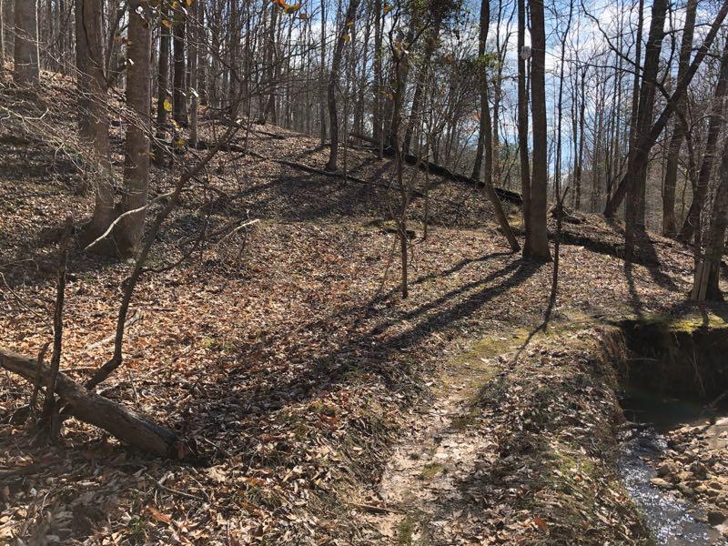 A tree-lined path in a wooded area, with a gentle slope in the background. The ground is covered with dry leaves, and a small stream runs along the right side of the path. Sunlight filters through the trees, casting shadows on the hillside. Cedar Ridge Chatmoss mountain bike trail.