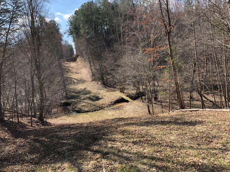 A view of a wooded area with a gently sloping terrain. Sparse trees line the path leading down to a small creek, with some dry leaves scattered on the ground. The scene is set under a clear blue sky, suggesting a calm and peaceful outdoor environment. Cedar Ridge Chatmoss mountain bike trail.