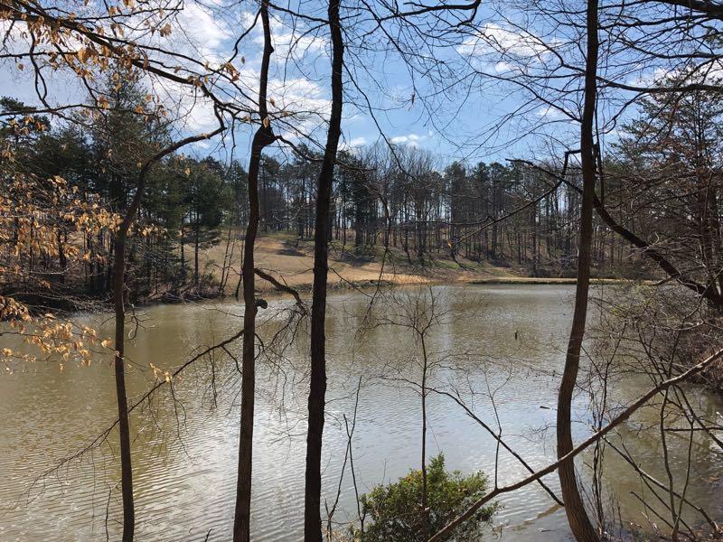 A serene view of a lake surrounded by trees, with a gentle slope leading to the water's edge. The scene is bathed in natural light under a partly cloudy sky, showcasing the beauty of a tranquil outdoor setting. Cedar Ridge Chatmoss mountain bike trail.