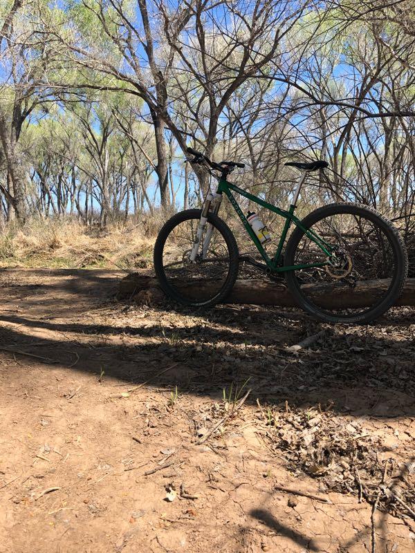 A green mountain bike leaning against a fallen log on a dirt path, surrounded by sparse trees and underbrush on a sunny day. San Pedro Riparian National Conservation Area mountain bike trail.