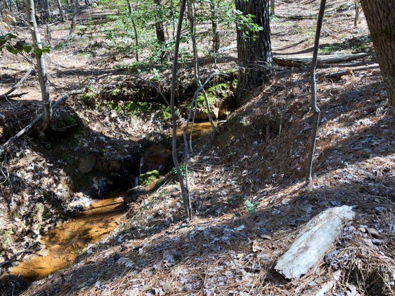 A serene forest scene featuring a small, winding creek surrounded by trees and scattered pine needles. Sunlight filters through the branches, highlighting the earthy tones of the landscape. A fallen log is visible in the foreground, and the gentle slope of the creek bank adds to the natural ambiance. Governor's Creek mountain bike trail.