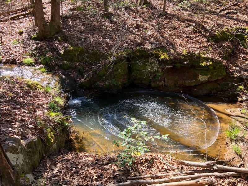 A serene forest scene featuring a small, clear pool of water surrounded by rocks and fallen leaves. Gentle ripples create patterns on the surface of the water, while sunlight filters through the trees, casting soft shadows. The area is lush with greenery and hints of moss. Governor's Creek mountain bike trail.