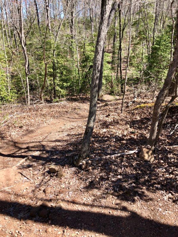 A winding dirt trail surrounded by trees in a forested area, with fallen leaves and small rocks along the path. Sunlight filters through the branches, casting shadows on the ground. Governor's Creek mountain bike trail.