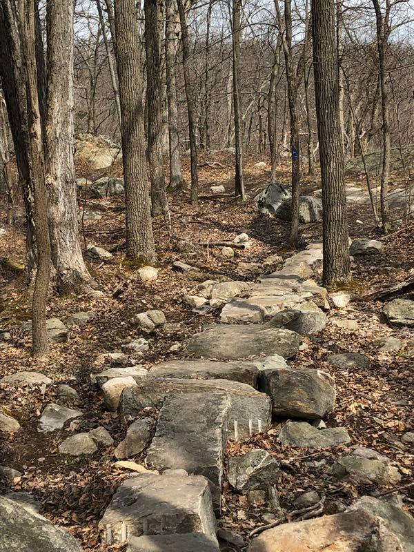 Stone pathway winding through a forest with leafless trees and scattered rocks, surrounded by fallen leaves. The trail leads into a natural setting, suggesting a serene outdoor experience. Hutchinson-Redback-Munsee-Eagle loop mountain bike trail.