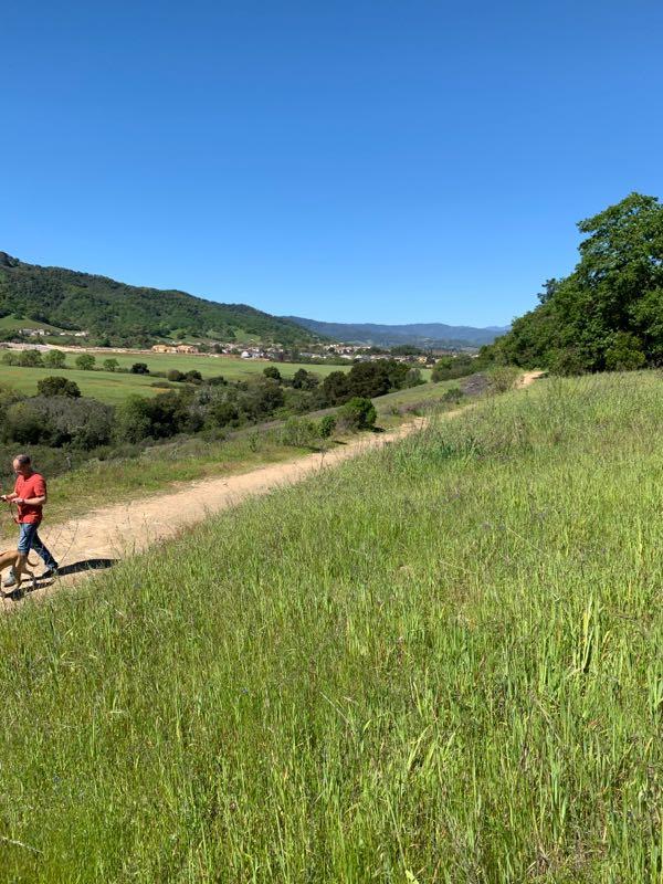 A scenic outdoor landscape featuring a dirt path winding through lush green grass, with a person walking a dog along the trail. In the background, rolling hills and a clear blue sky can be seen, creating a tranquil nature setting. Christmas Hill Garlic Ride mountain bike trail.