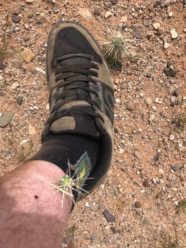 A close-up view of a foot wearing a black sneaker and black sock, with a spiny cactus plant attached to the ankle. The background features a sandy surface scattered with small rocks and pebbles. Fantasy Island mountain bike trail.