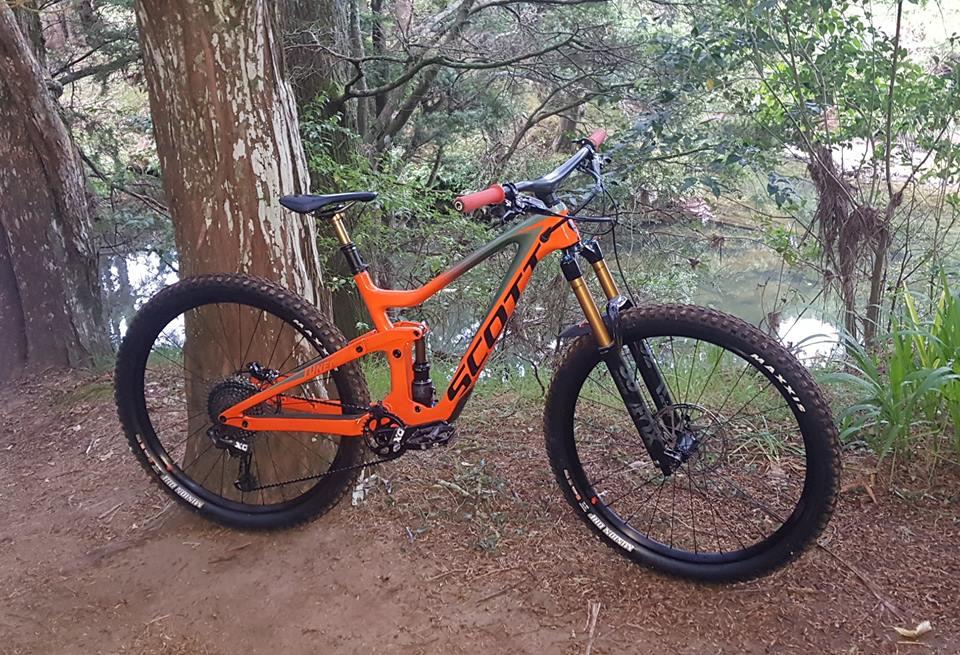Scott Ransom: A bright orange mountain bike leaning against a tree in a lush forest setting, with a small pond visible in the background. The bike features thick tires and a modern design, ideal for off-road trails.