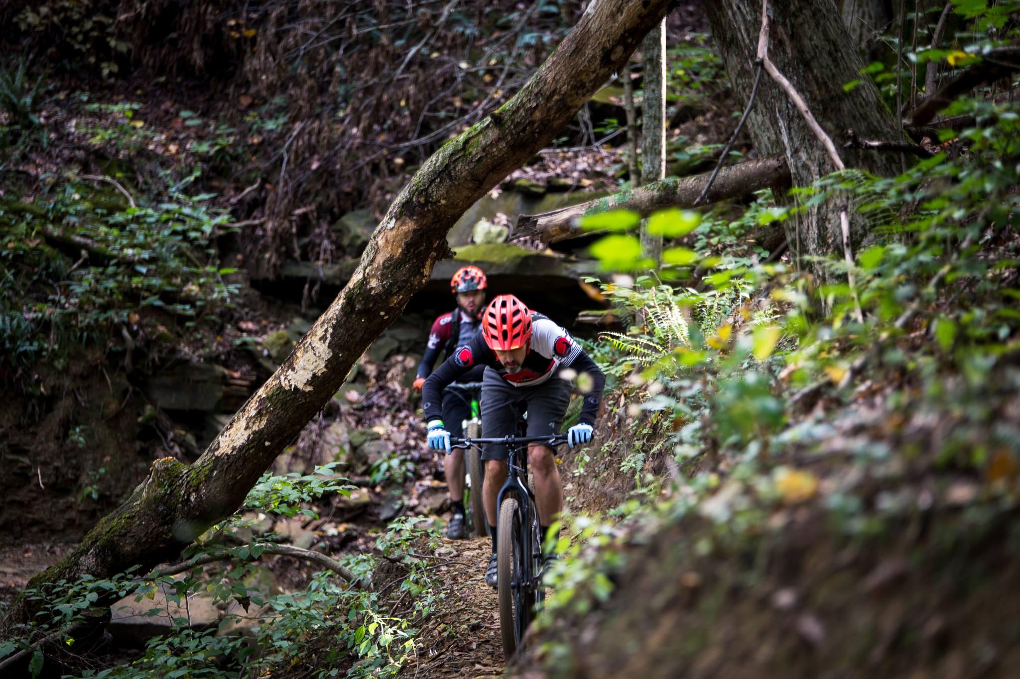 Two mountain bikers navigate a narrow trail in a lush, wooded area. One biker is in the foreground, wearing a red helmet and a black and white cycling jersey, leaning forward as they ride. The second biker follows closely behind, wearing a similarly styled outfit. The trail is surrounded by greenery, including patches of foliage and a fallen tree, creating a natural, rustic setting. Crooked Creek Trail mountain bike trail.