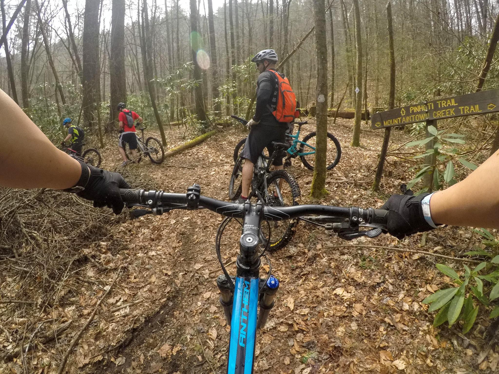 A group of mountain bikers navigate a forest trail, with a view of the handlebars from one rider's perspective. The trail sign indicates directions to Pinhoti Trail and Mountaintown Creek Trail, surrounded by trees and fallen leaves. The atmosphere is calm and natural, highlighting the adventure of outdoor biking. Pinhoti Trail: Mountaintown Creek Segment mountain bike trail.