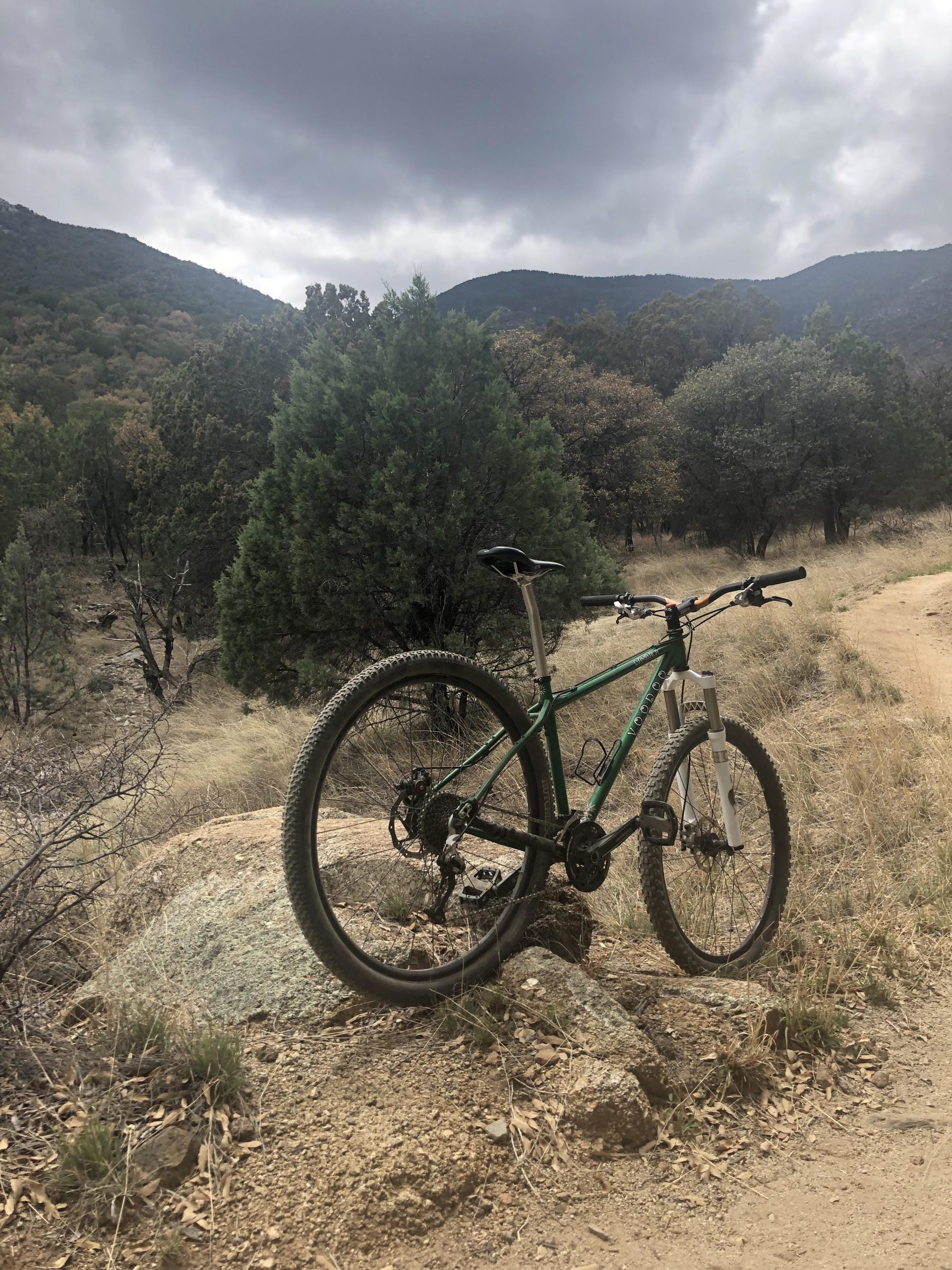 Mountain bike resting on a rock along a dirt trail, surrounded by trees and rolling hills under a cloudy sky. Brown Canyon mountain bike trail.