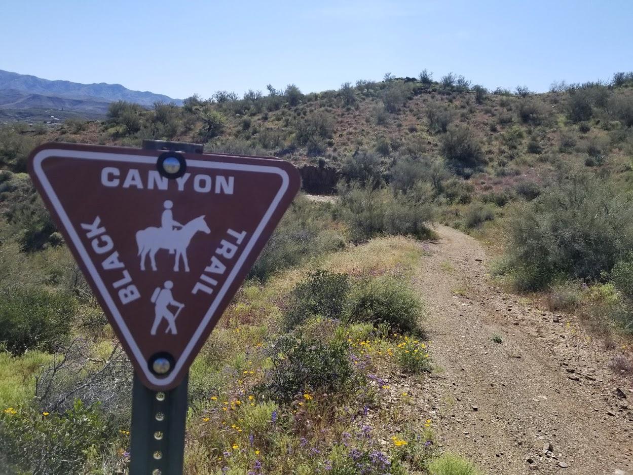 A brown trail sign indicating the "Black Canyon Trail" with symbols for hiking and horseback riding, set against a backdrop of desert hills and clear blue skies. Black Canyon Trail mountain bike trail.
