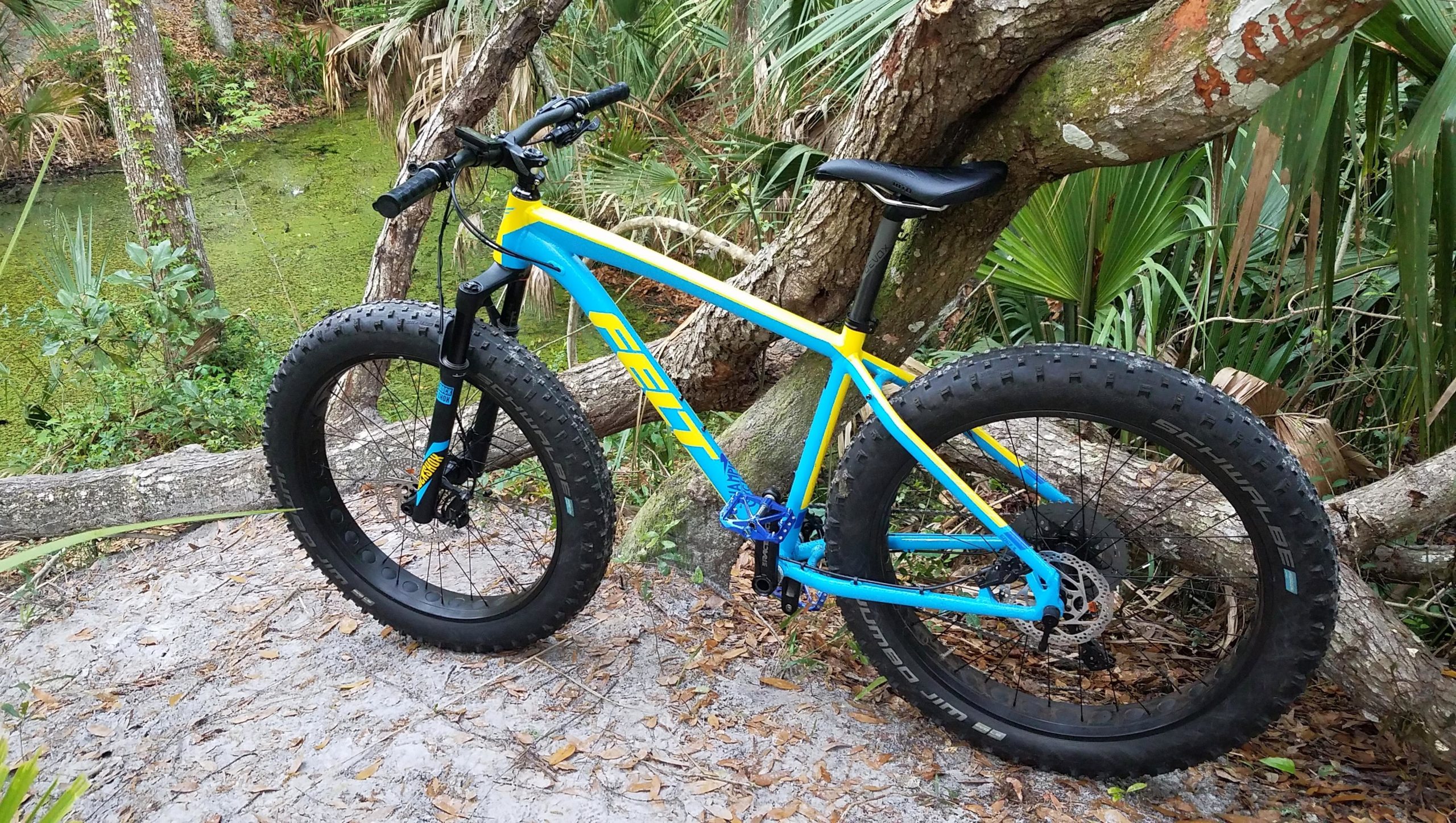Fat tire bike leaning against a tree near a pond, surrounded by lush greenery and underbrush. The bike features a bright blue and yellow frame, wide tires designed for off-road terrain, and is positioned on a sandy path. Kathryn Abby Hanna Park mountain bike trail.