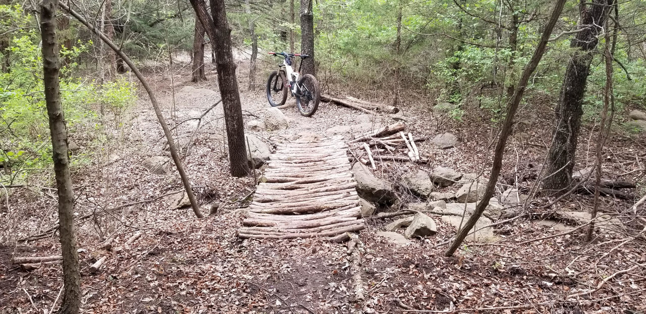 A mountain bike parked next to a rustic wooden bridge made of logs, crossing over a rocky area in a wooded trail. The setting features lush greenery, bare trees, and scattered leaves on the ground. Muskrat Maze / Lizards Den mountain bike trail.