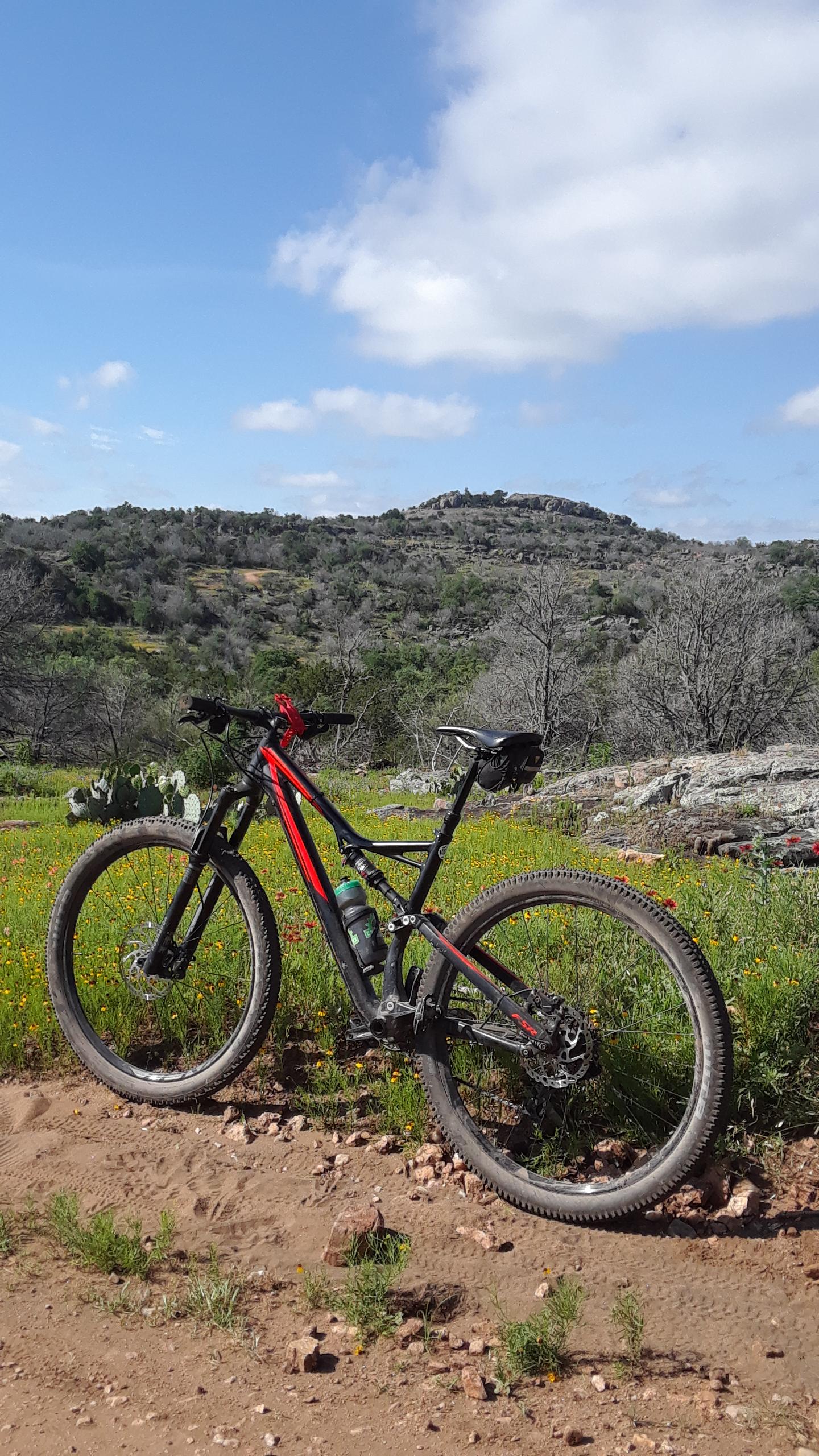 A black and red mountain bike is parked on a dirt path surrounded by vibrant wildflowers. In the background, a rocky hill rises amidst green foliage and sparse trees under a blue sky with scattered clouds. Reveille Peak Ranch mountain bike trail.