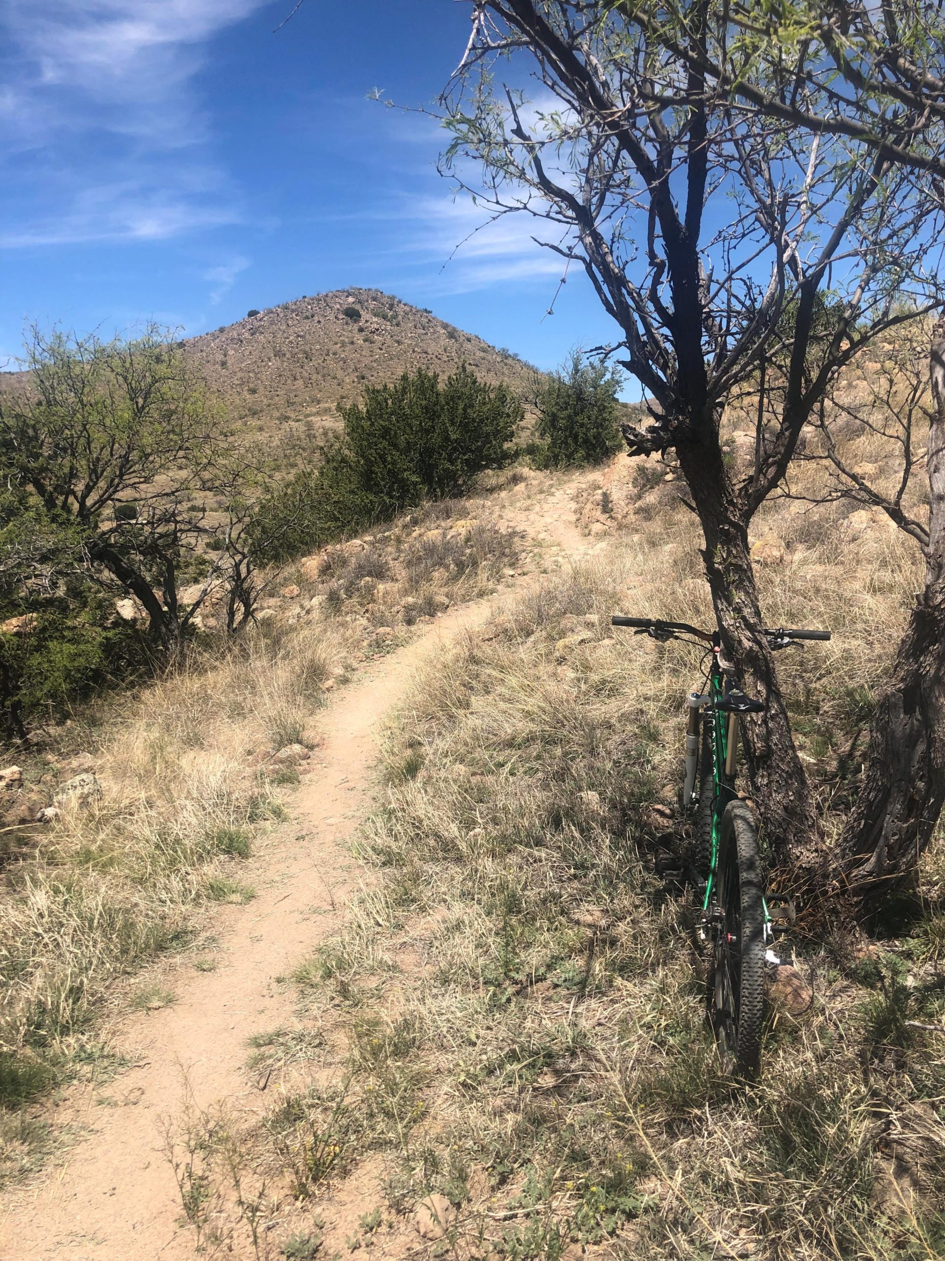 A mountain bike leaning against a tree on a dirt trail, with a backdrop of rolling hills and a blue sky dotted with clouds. The surrounding area features dry grass and sparse vegetation, indicating a rugged outdoor setting. Gardner Canyon mountain bike trail.