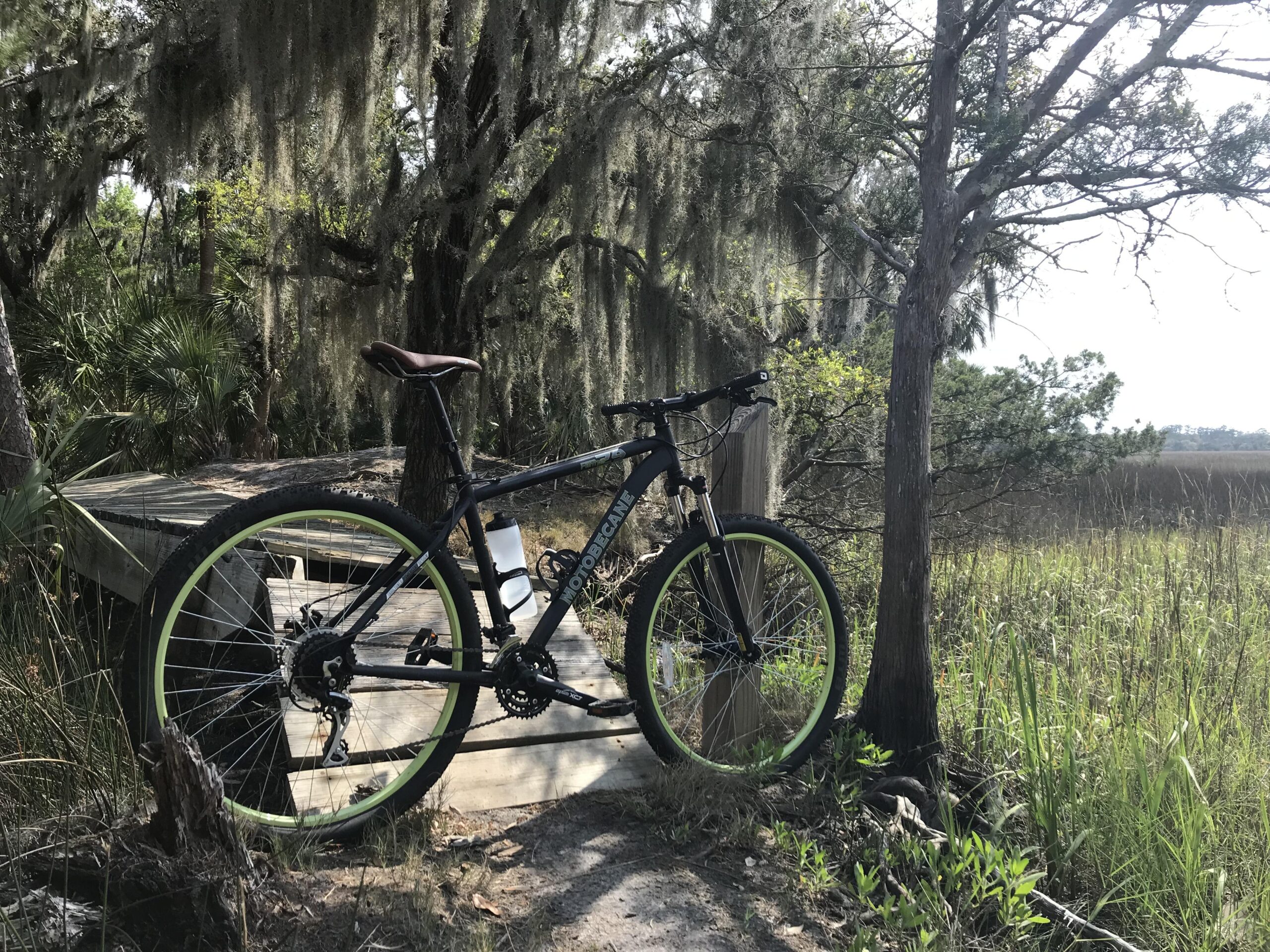 Motobecane Fantom 29: A mountain bike with a brown seat is leaning against a wooden platform surrounded by tall grasses and trees draped with Spanish moss. The background features a serene natural setting, with lush greenery and a glimpse of open marshland.