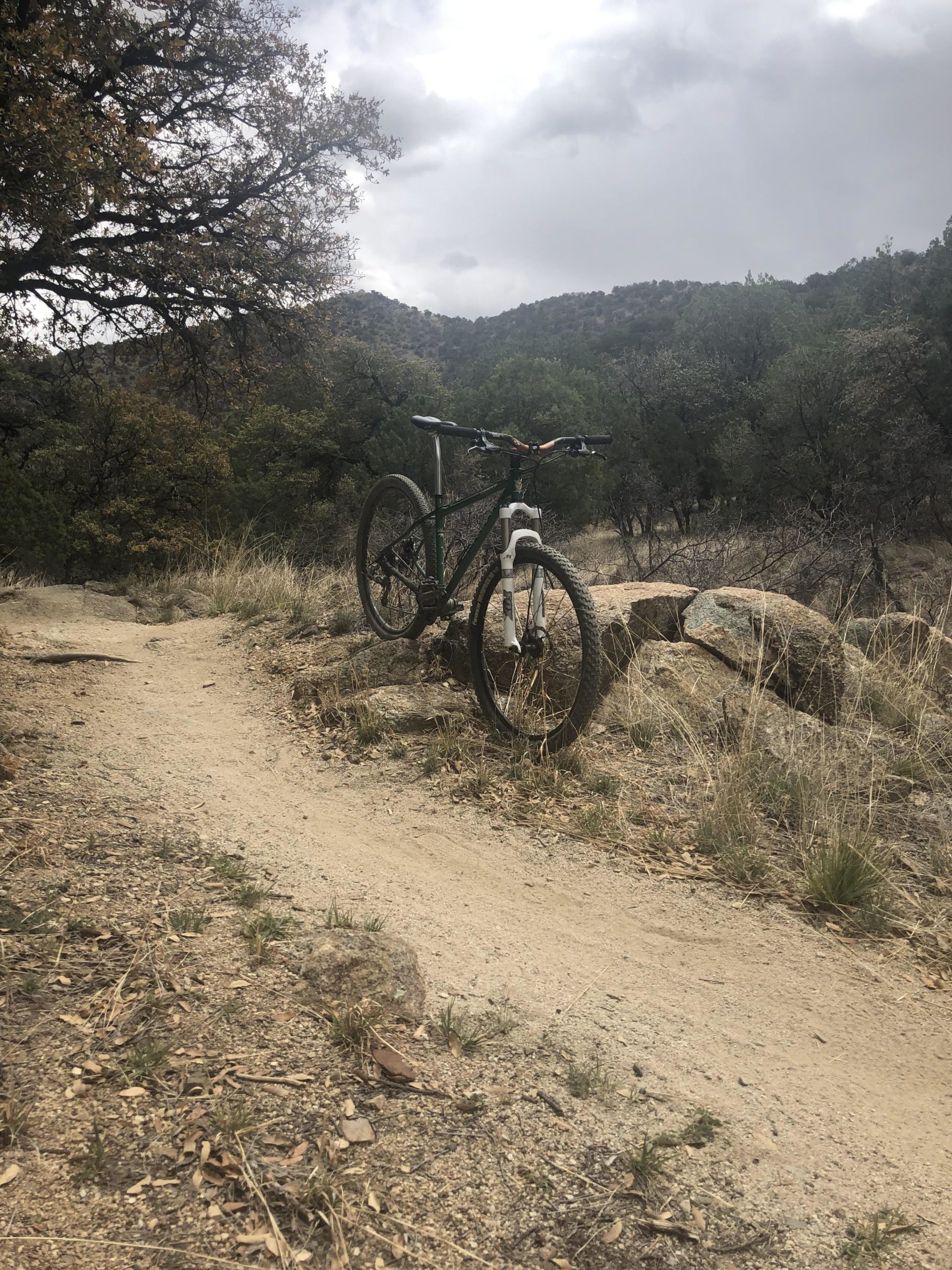 A mountain bike leaning against a rock on a dirt trail surrounded by trees and hills under a cloudy sky. Brown Canyon mountain bike trail.