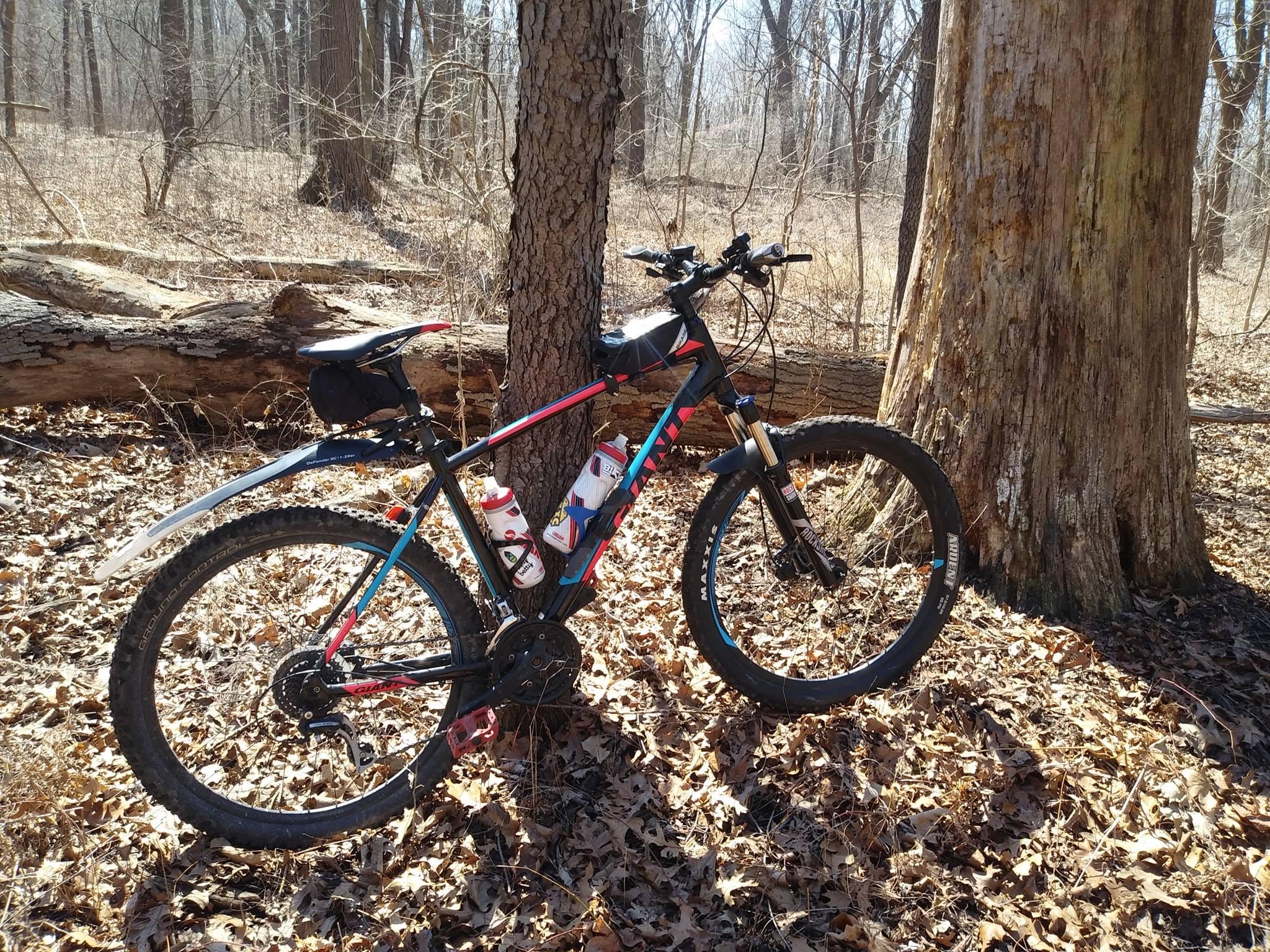 A mountain bike leaning against a large tree in a wooded area, surrounded by fallen leaves and a log. The bike features a black frame with colorful accents, two water bottles mounted on the frame, and a saddlebag. Early spring vegetation is visible in the background. Black Oak mountain bike trail.