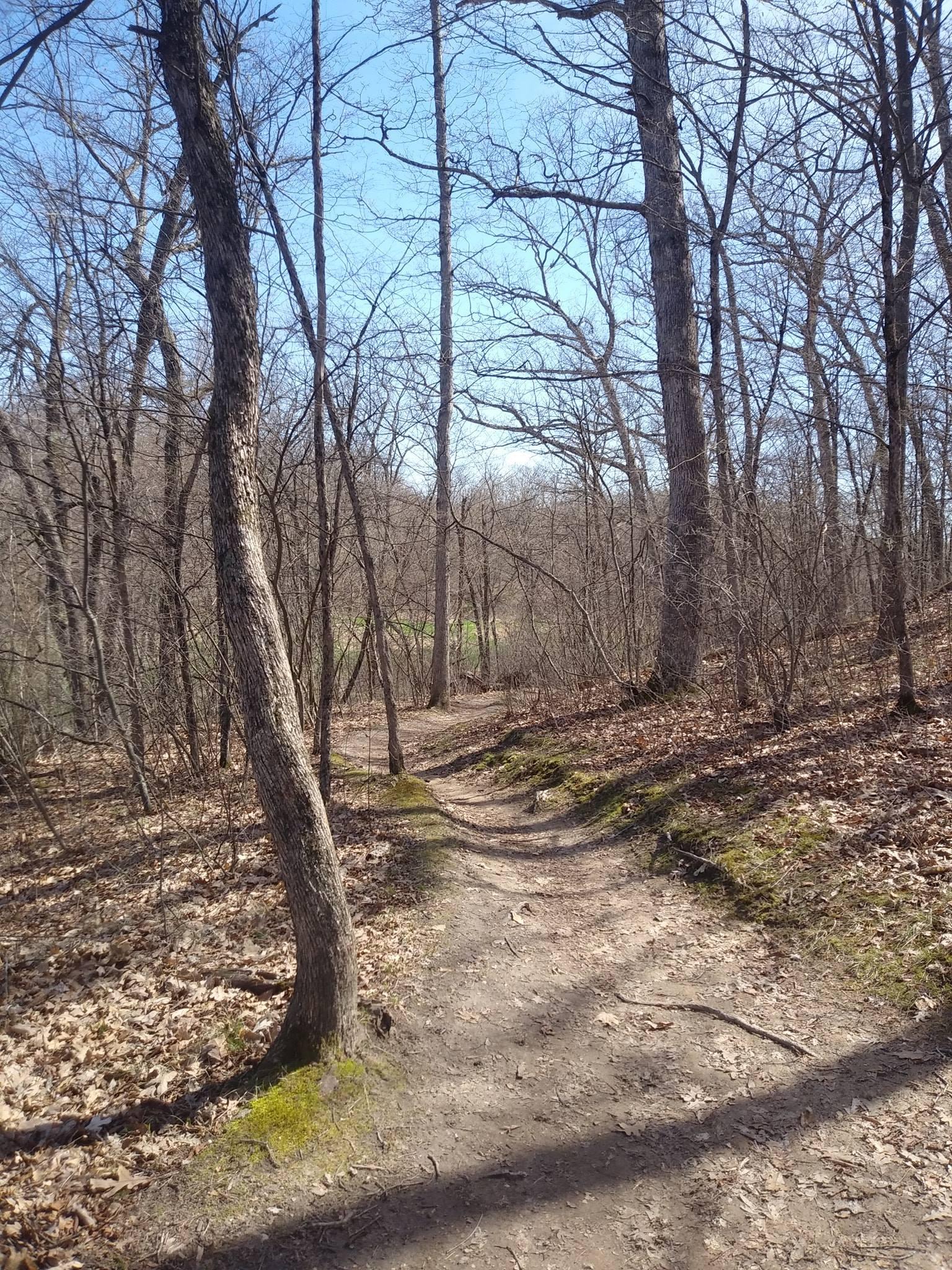 A narrow dirt path winding through a wooded area with bare trees and patches of green grass visible in the background. The ground is covered with dried leaves and there is a clear blue sky above. Island Lake mountain bike trail.