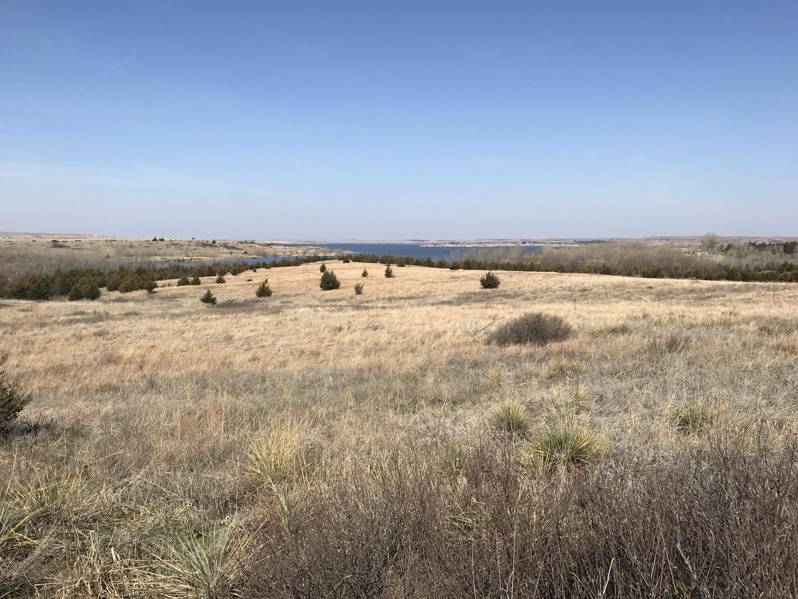 A wide view of a grassy landscape with sparse trees, leading to a body of water in the distance. The scene is under a clear blue sky, showcasing a peaceful, natural environment. Switchgrass mountain bike trail.