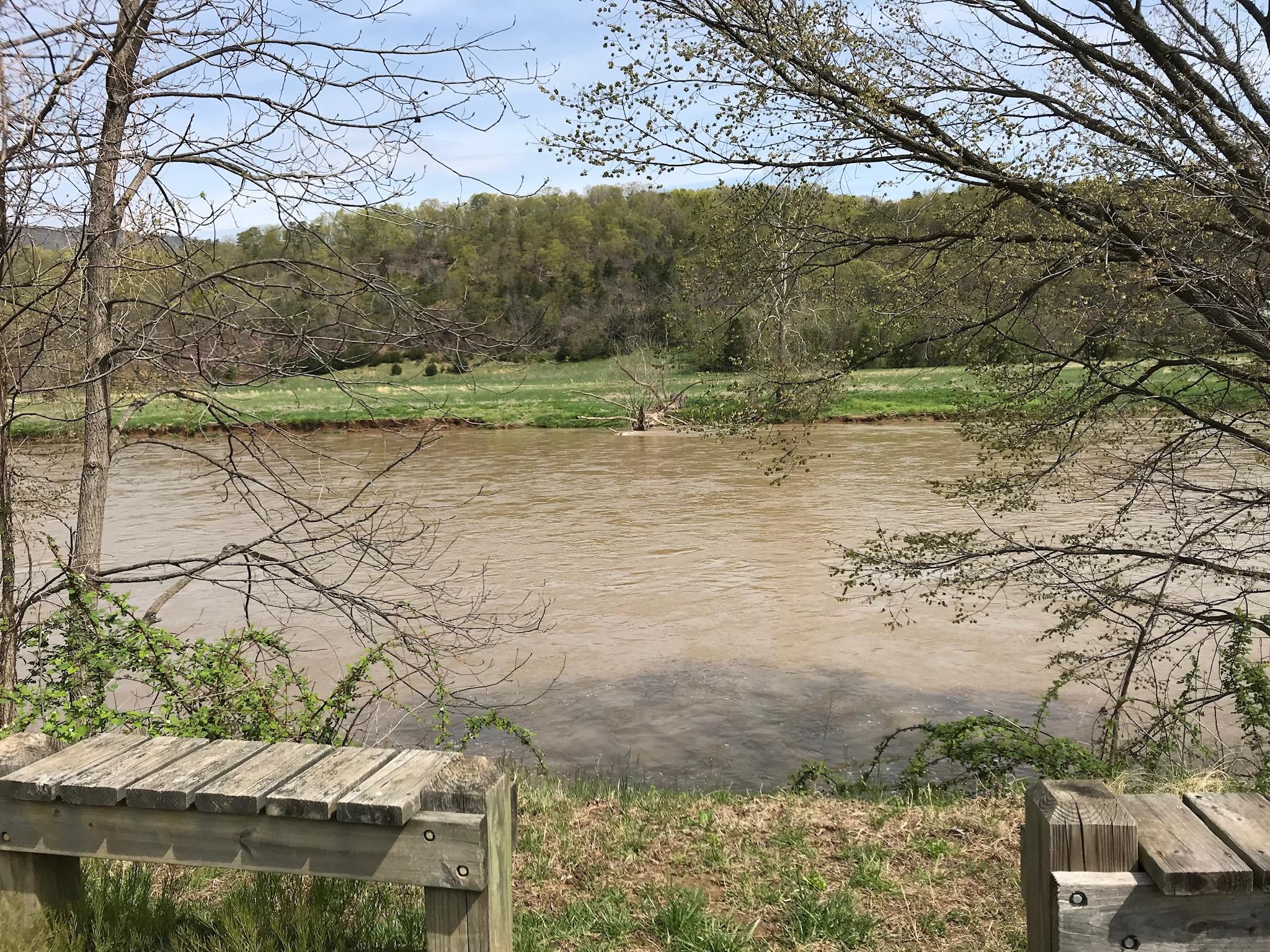A scenic view of a river surrounded by greenery, with a wooden bench in the foreground. Bare trees frame the image, and the water is a muddy brown, suggesting recent rainfall. Lush, green fields are visible across the river, enhancing the natural landscape. Shenandoah River Raymond R. "Andy" Guest, Jr. State Park mountain bike trail.