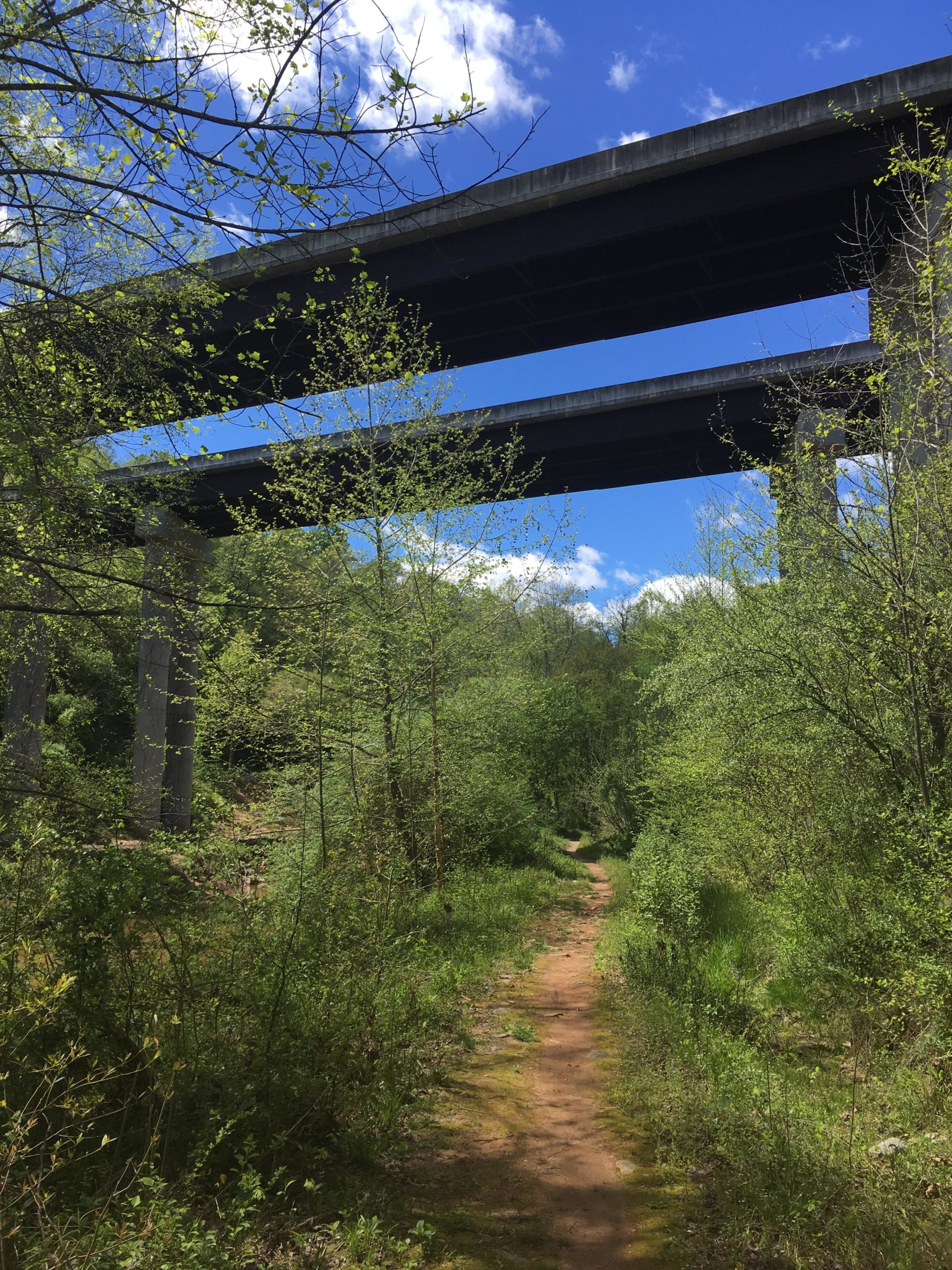 A dirt path winding through lush greenery, with two concrete overpasses visible overhead against a clear blue sky with scattered clouds. Darth Vader mountain bike trail.
