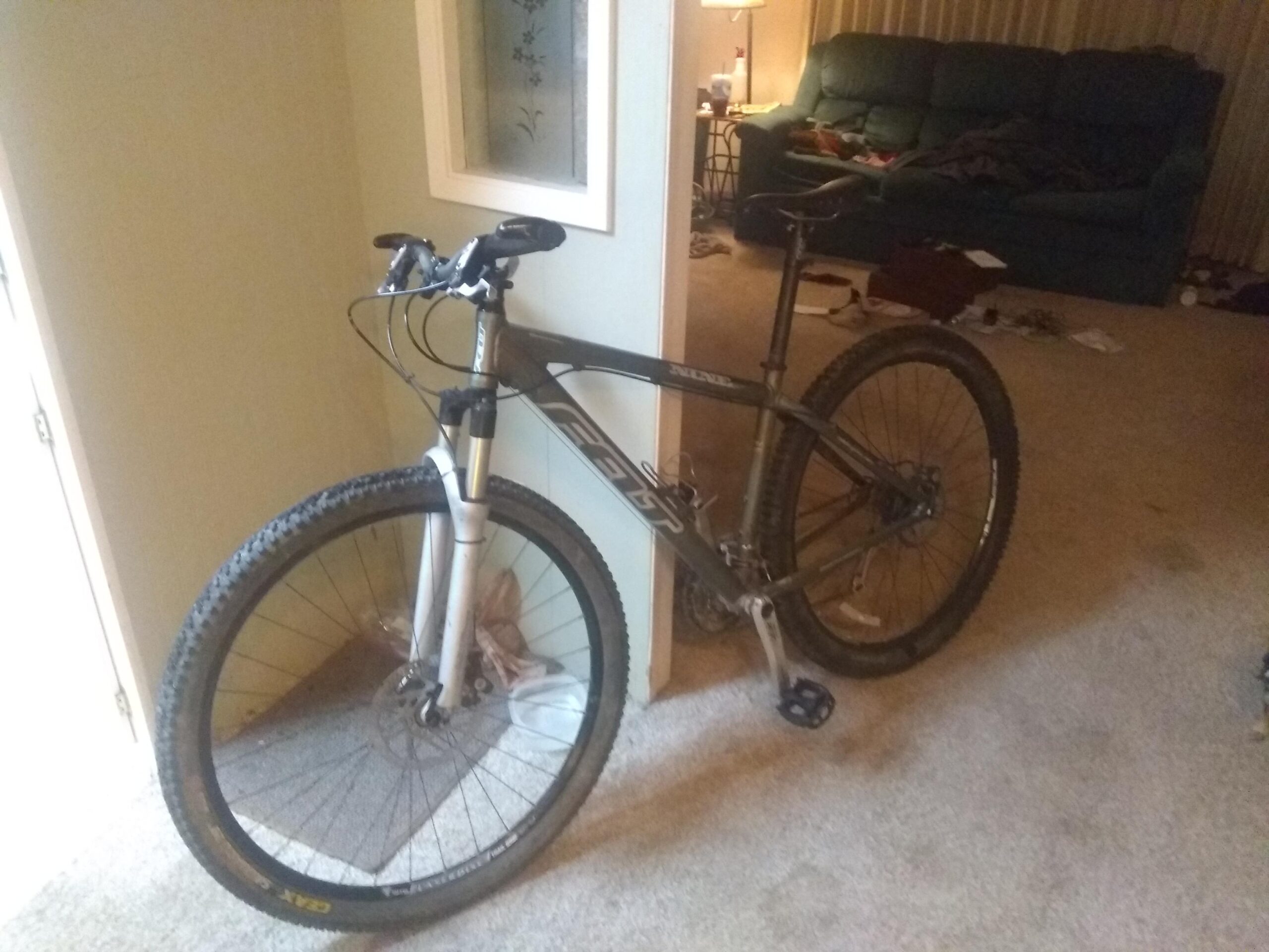 Felt 29er Pro: A mountain bike leaning against a wall in a living room, with a partially visible couch and scattered items in the background. The bike has a gray frame and a white front fork.