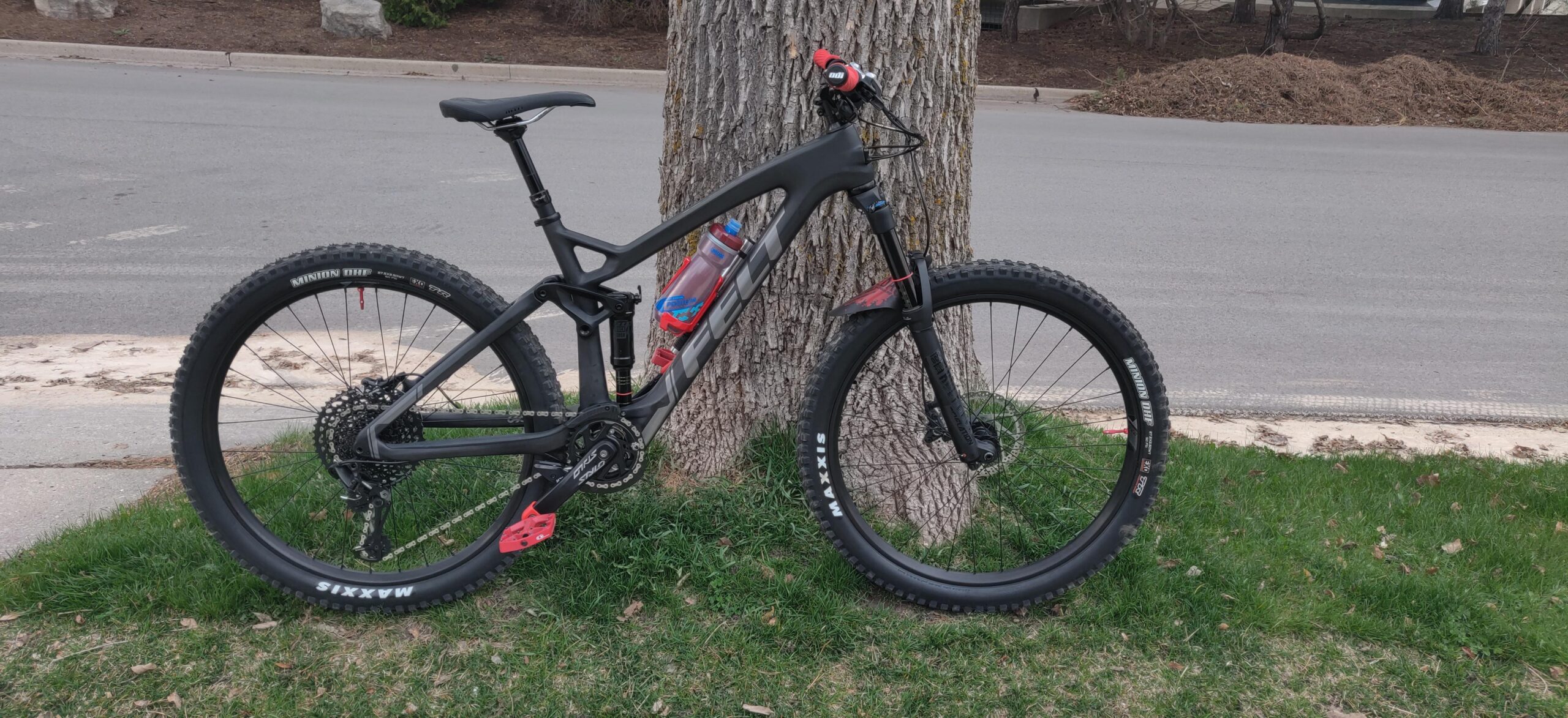 Felt Decree 3: A black mountain bike with red and blue accents, resting against a tree. The bike features chunky tires with brand markings, a water bottle attached to the frame, and is situated on grass near a sidewalk, with a road visible in the background.