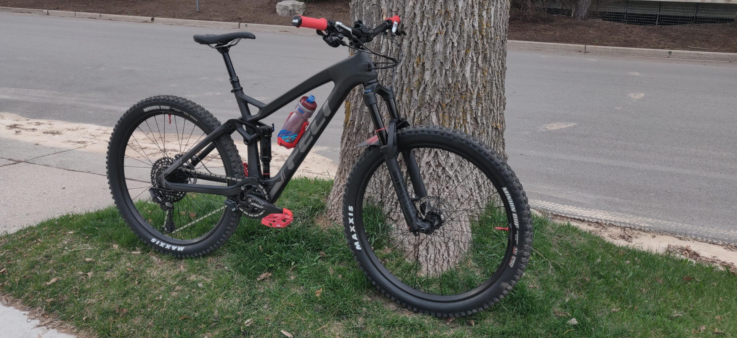 Felt Decree 3: A black mountain bike with red accents, leaning against a tree. The bike features wide tires and a water bottle attached to the frame. In the background, a paved road and grassy area are visible.