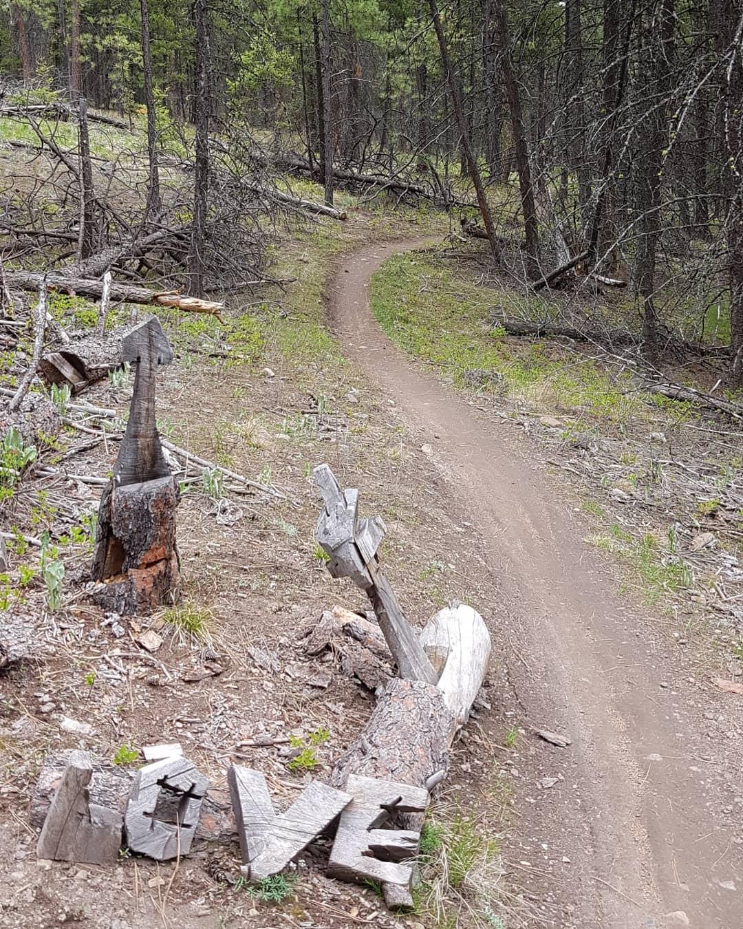 A winding dirt trail through a forested area, bordered by trees and scattered logs. In the foreground, wooden letters form the word "LOVE," creatively arranged among fallen branches. The scene conveys a sense of nature and tranquility. Smith Creek mountain bike trail.