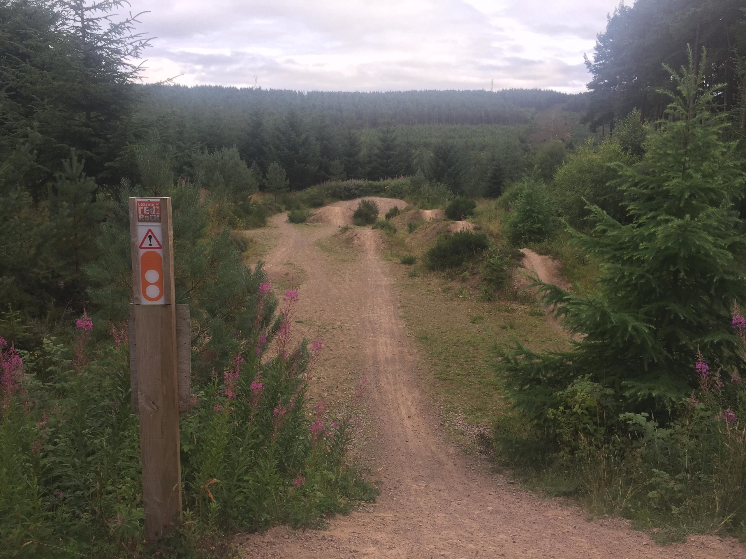 A dirt pathway winds through a forested area, flanked by green trees and purple wildflowers. A wooden signpost with caution symbols stands beside the path, indicating a trail for biking enthusiasts. The landscape features gentle mounds and dips, suggesting a biking trail. In the background, the dense forest stretches into the distance under a cloudy sky. Learnie Red Rocks mountain bike trail.