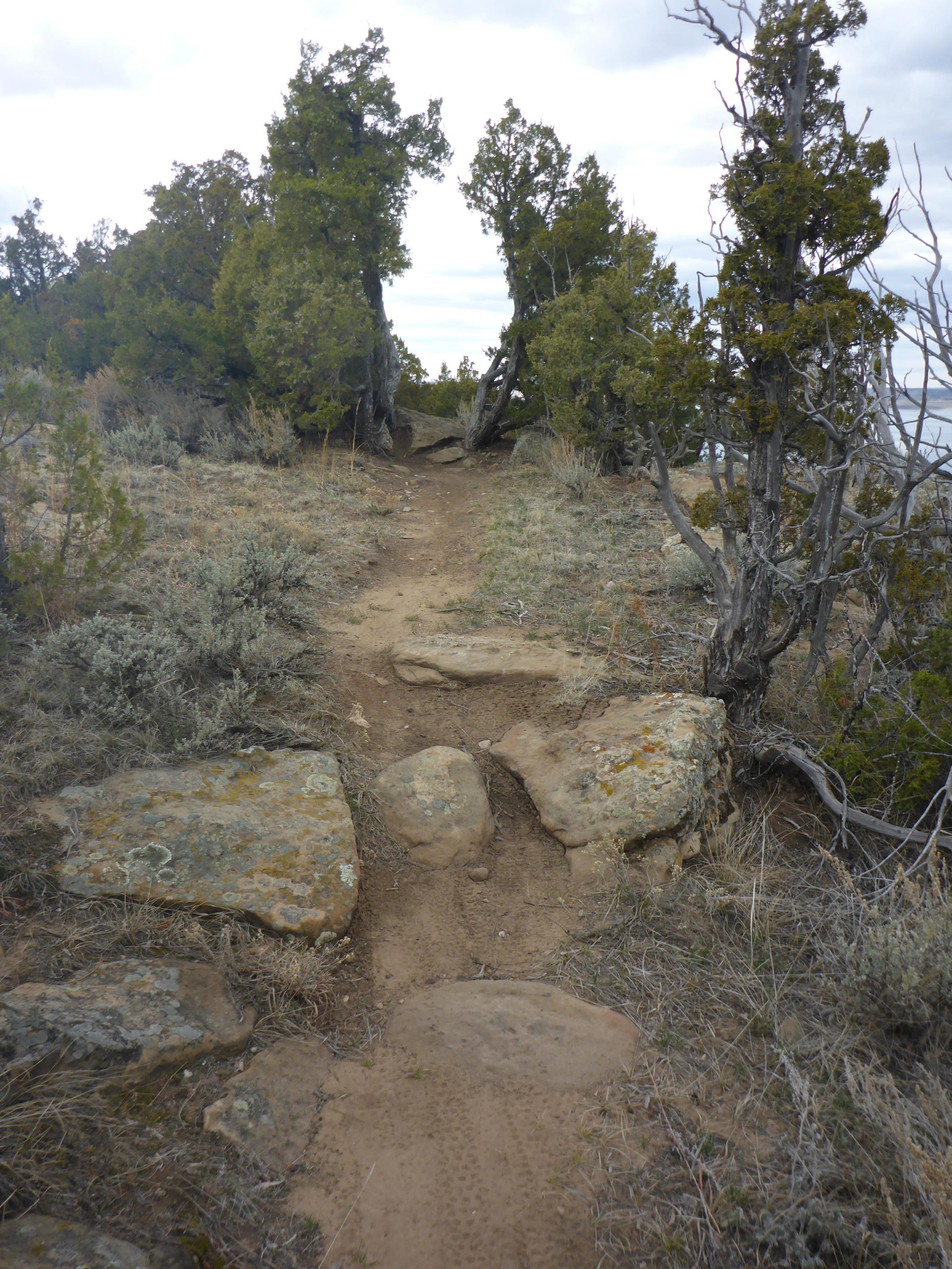 A narrow dirt trail winding through a rugged landscape, flanked by scattered rocks and low shrubs. Tall trees are visible on either side, with a cloudy sky overhead, suggesting a tranquil outdoor environment.  Glendo State Park mountain bike trail.