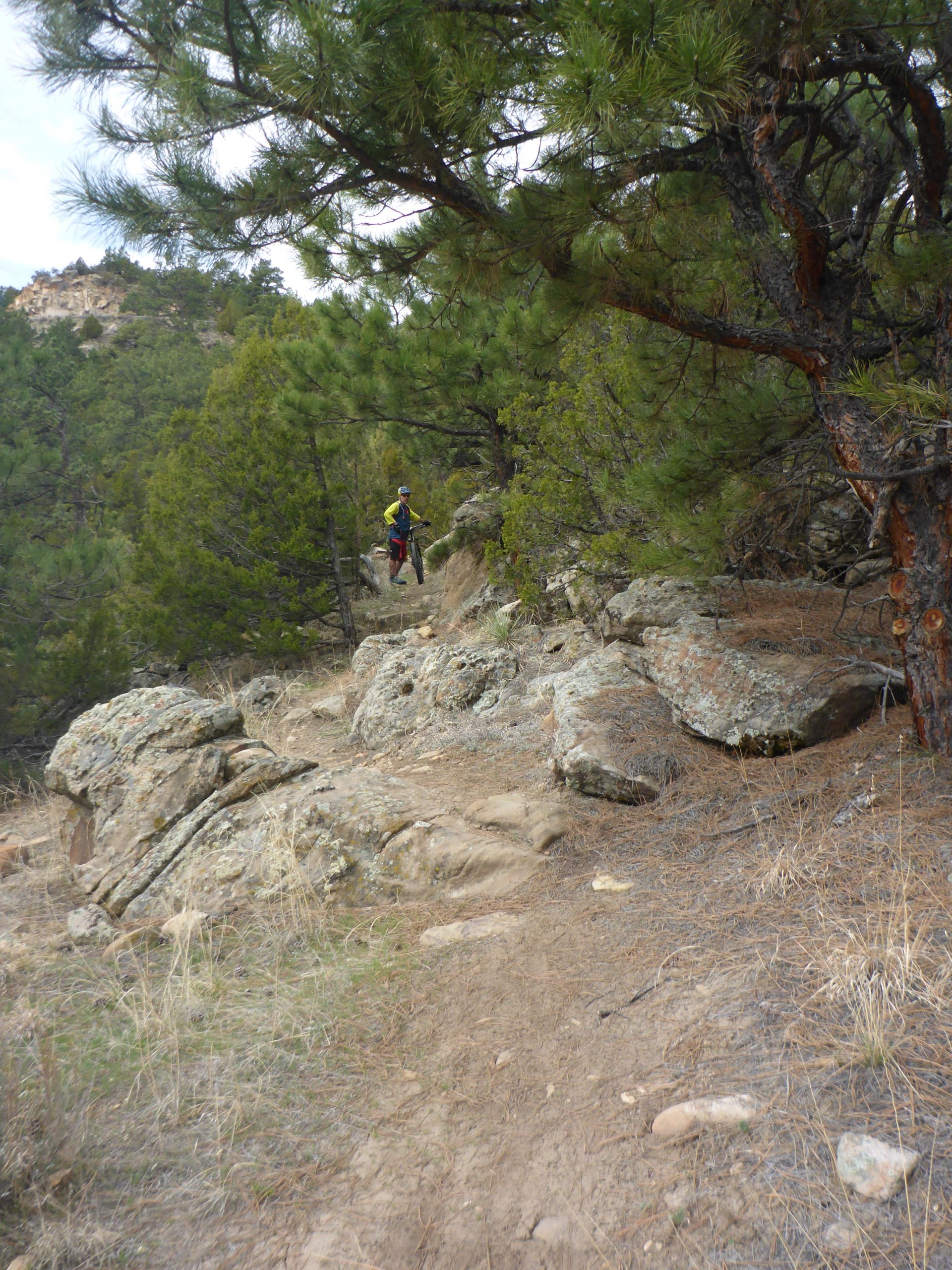 A hiker traversing a rocky trail surrounded by pine trees, with a mountainous landscape in the background. Glendo State Park mountain bike trail.