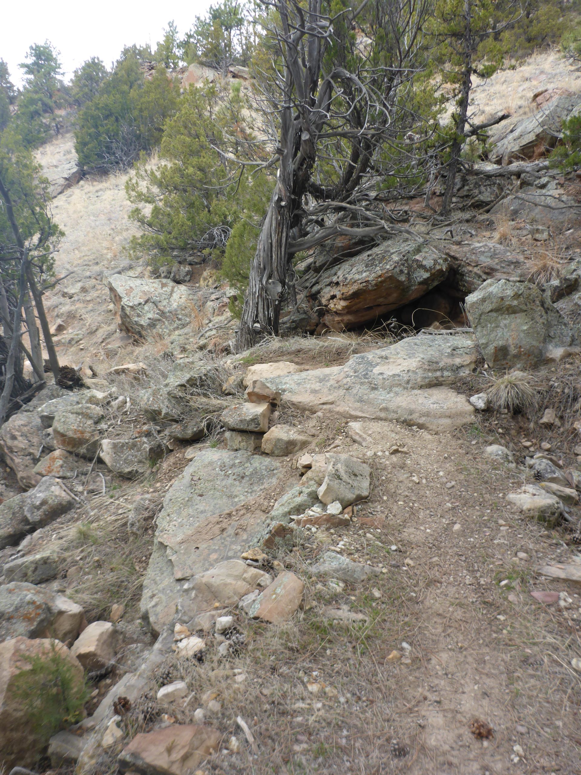 A rocky hiking trail winding through a mountainous landscape, flanked by trees and scattered boulders. The terrain is uneven with patches of dry grass and small stones, indicating a natural outdoor setting. Glendo State Park mountain bike trail.